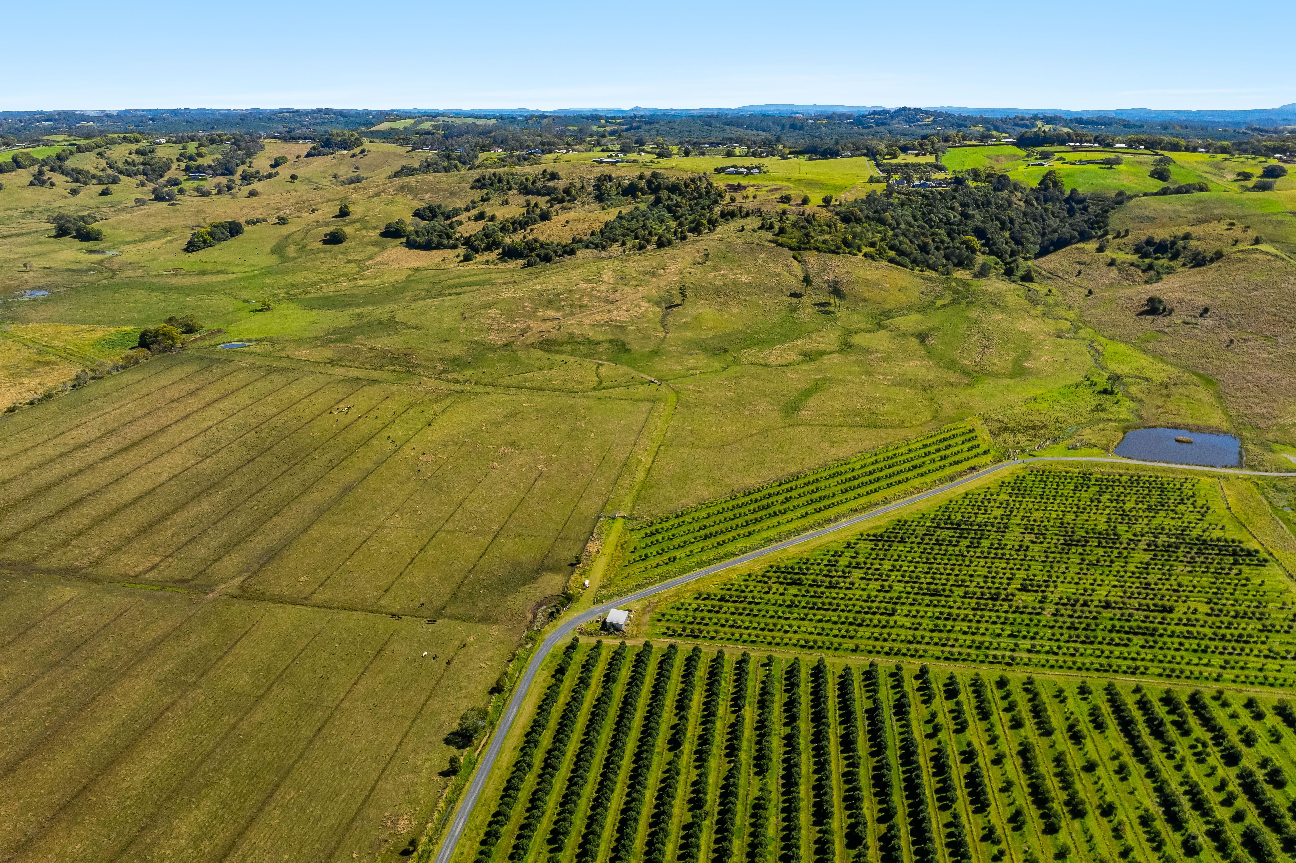 Lifestyle for Sale: Newrybar, NSW 2479, NSW, 2479