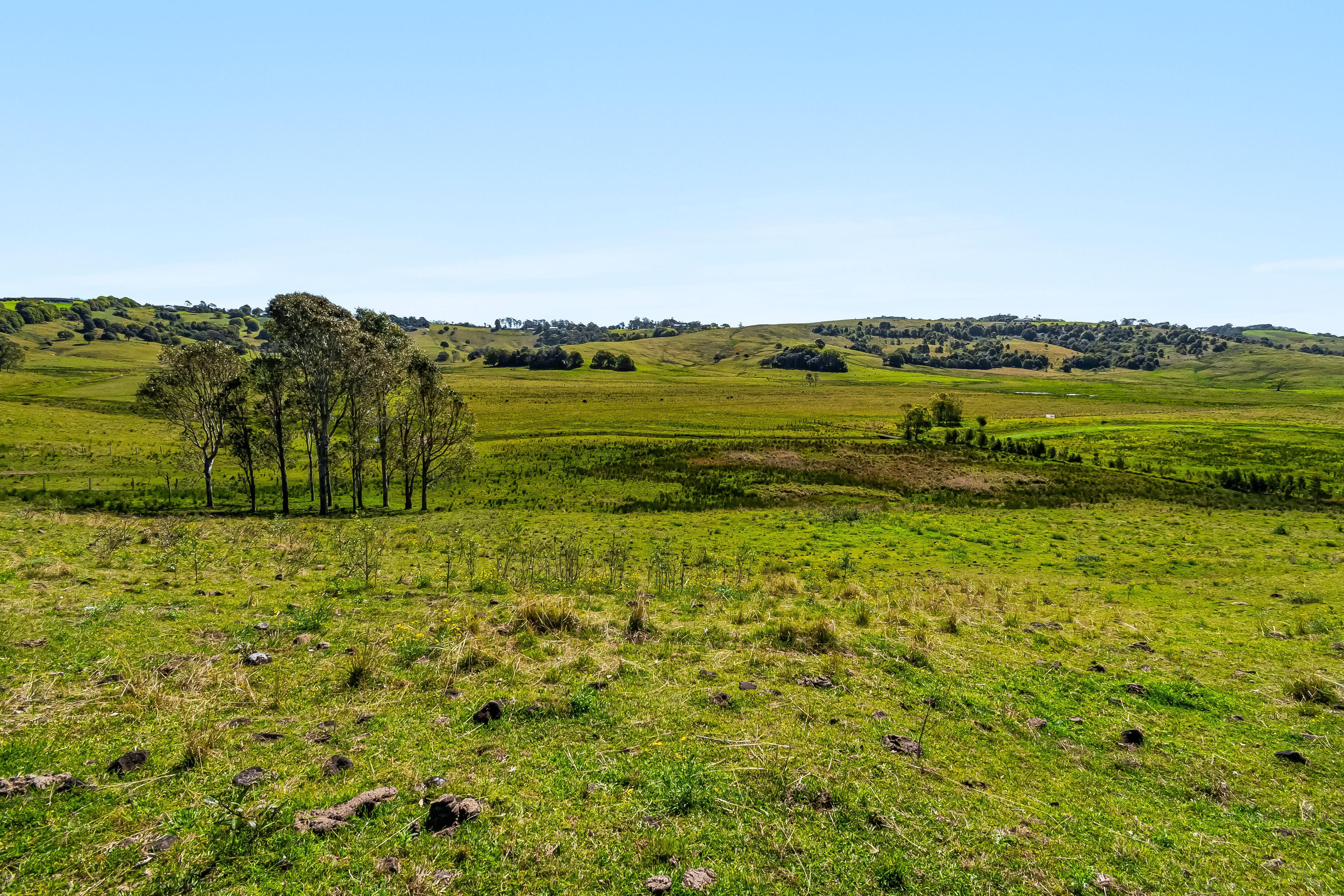 Lifestyle for Sale: Newrybar, NSW 2479, NSW, 2479