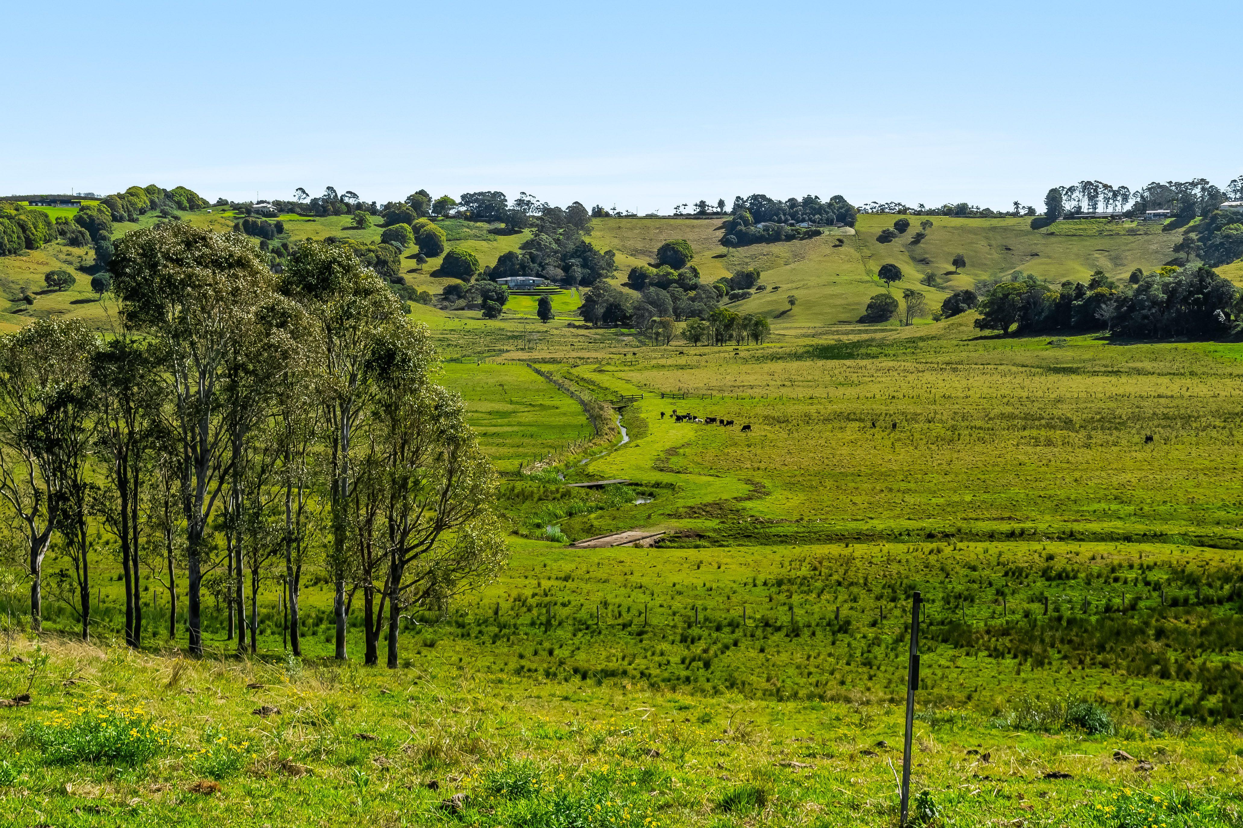 Lifestyle for Sale: Newrybar, NSW 2479, NSW, 2479