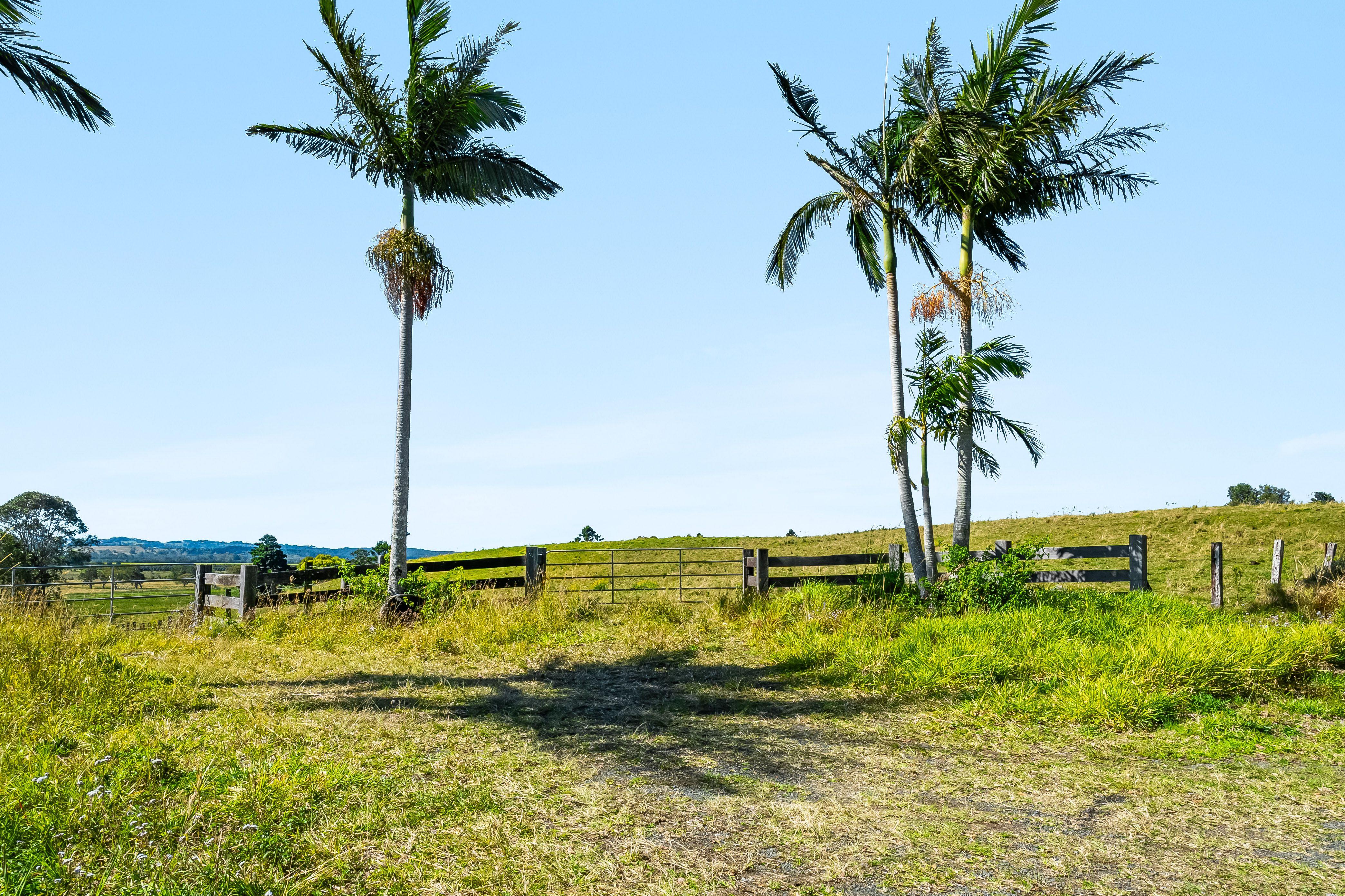 Lifestyle for Sale: Newrybar, NSW 2479, NSW, 2479