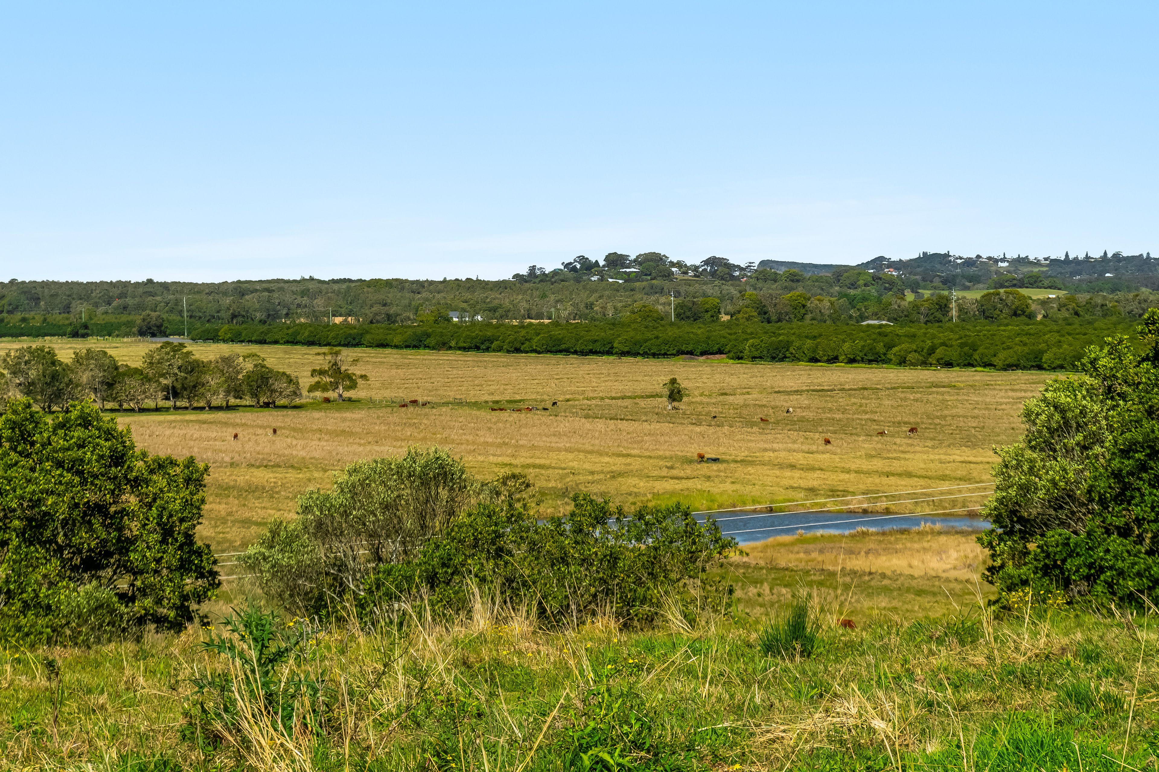 Lifestyle for Sale: Newrybar, NSW 2479, NSW, 2479