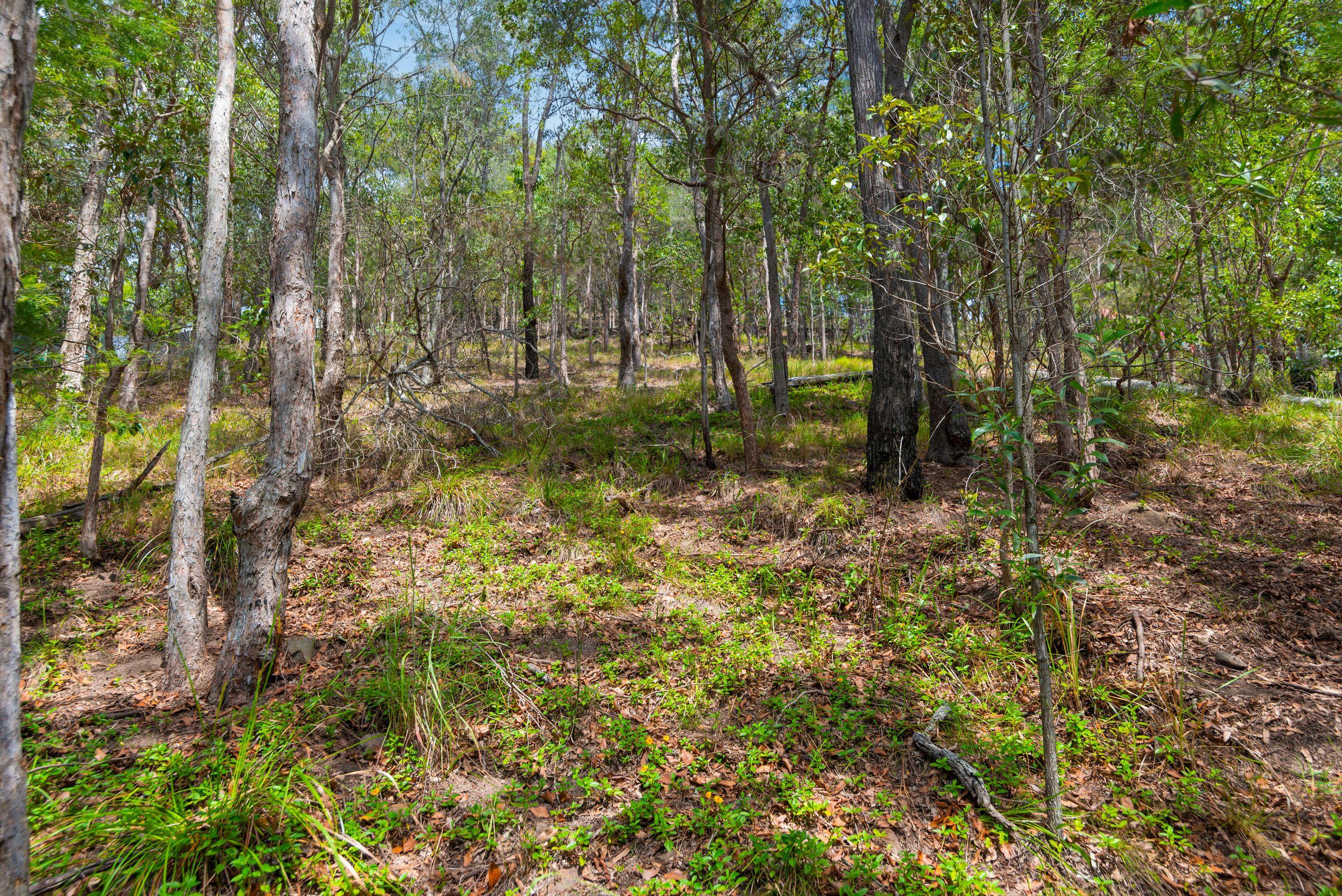 Land for Sale: Currumbin Waters, QLD 4223, QLD, 4223