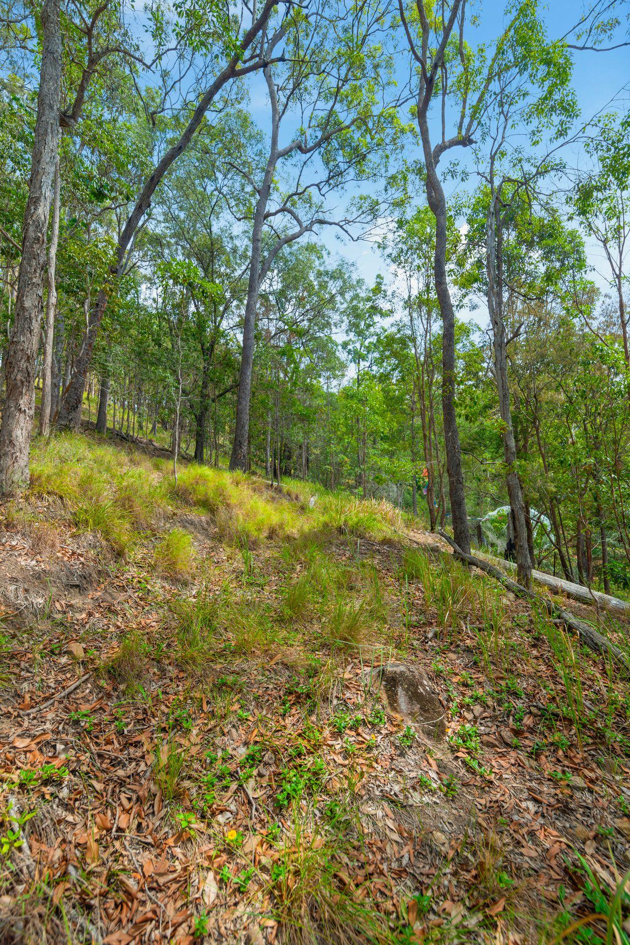 Land for Sale: Currumbin Waters, QLD 4223, QLD, 4223