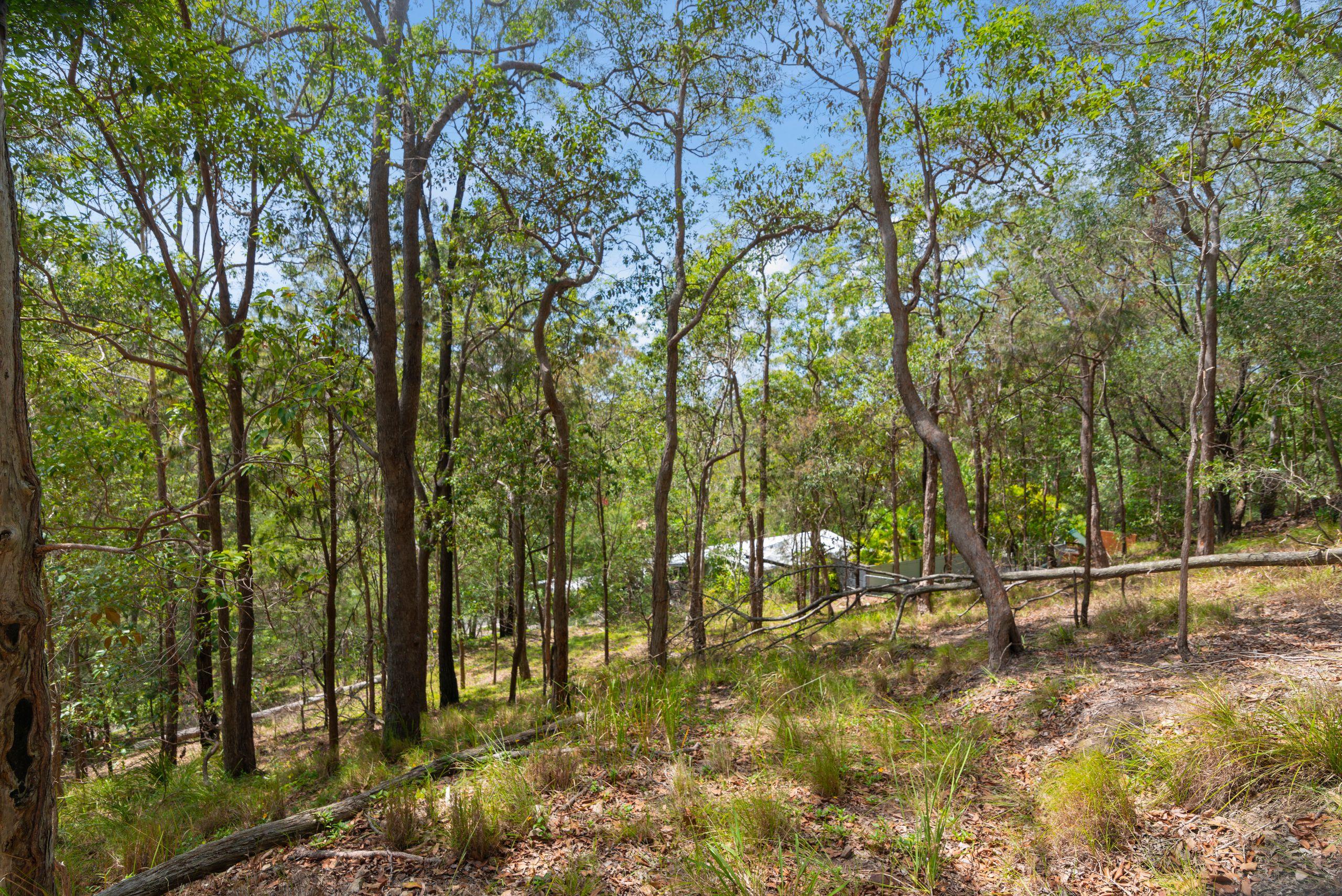 Land for Sale: Currumbin Waters, QLD 4223, QLD, 4223