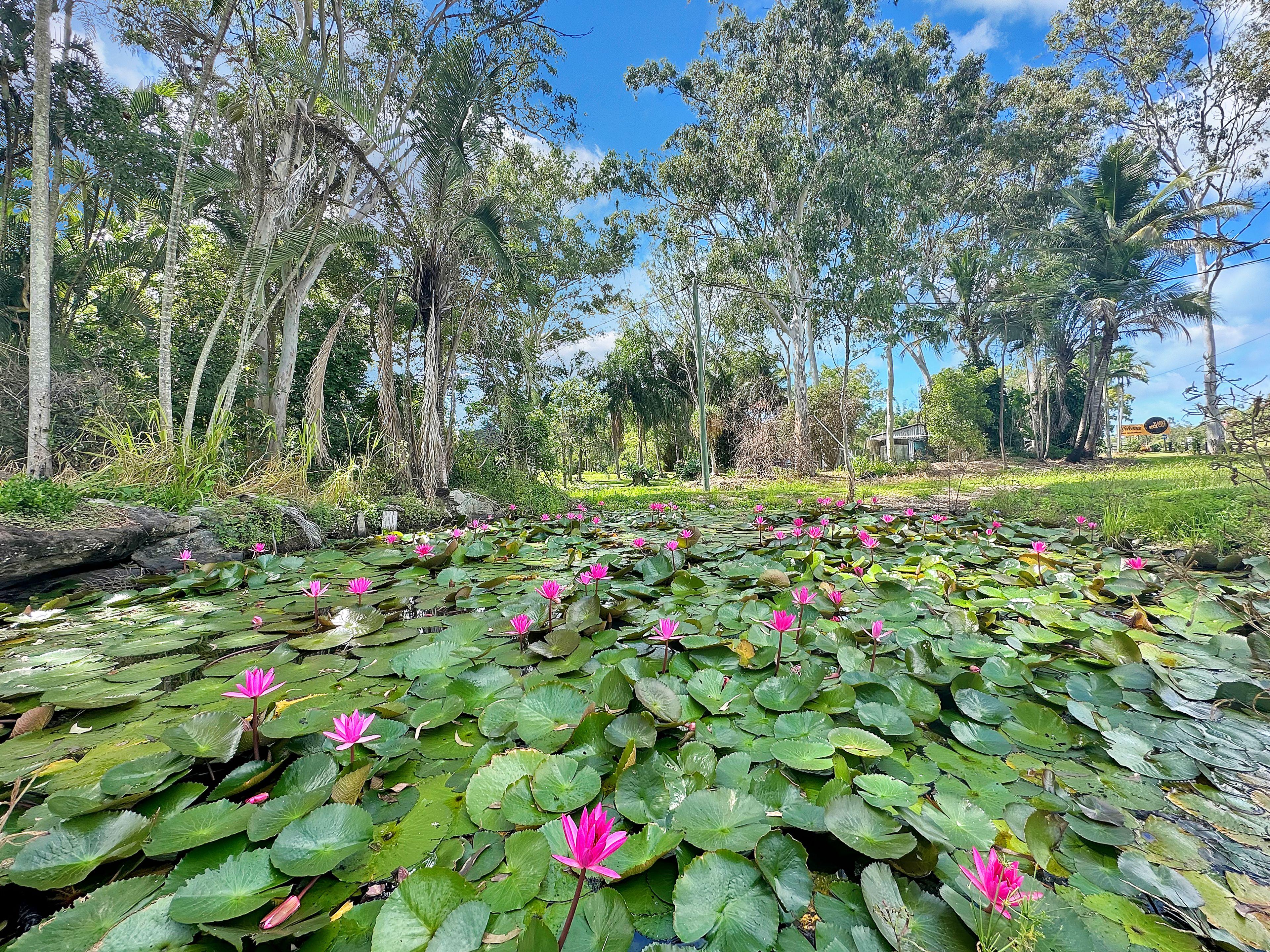 Acreage/Semi-Rural for Sale: Carmila, QLD 4739, QLD, 4739