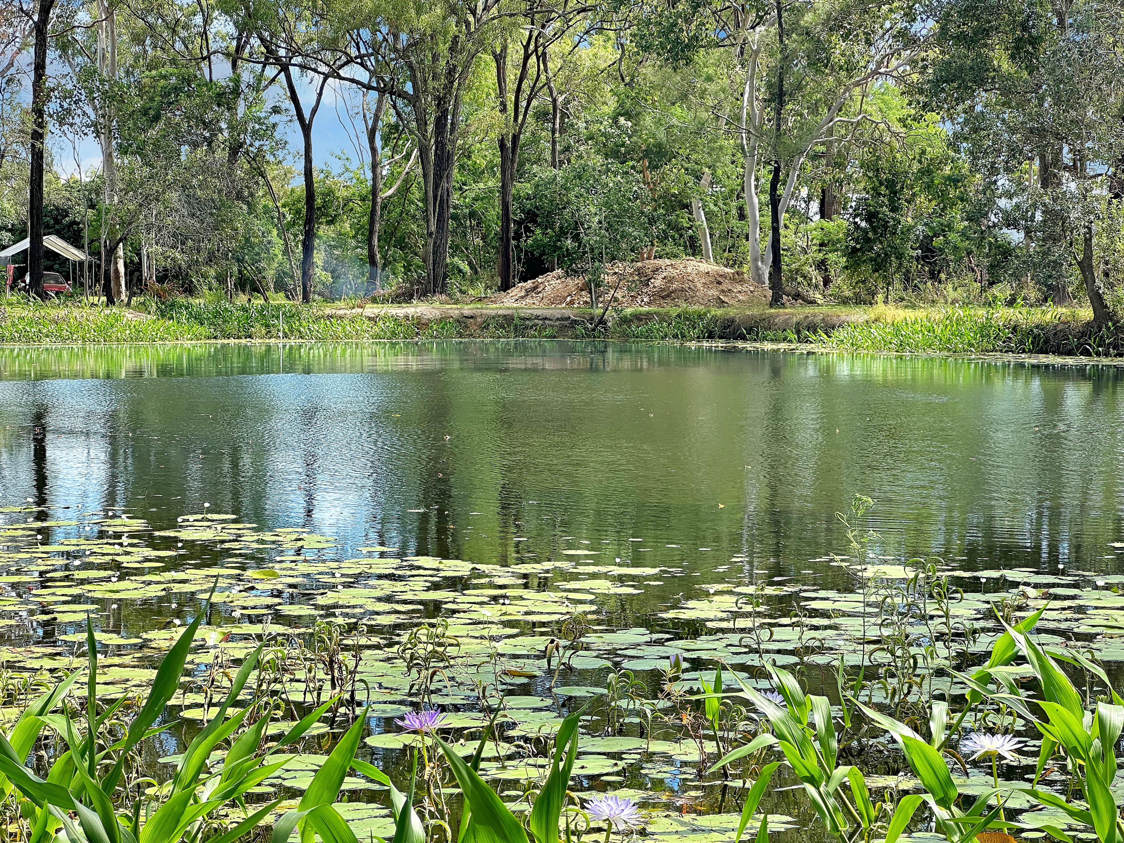 Acreage/Semi-Rural for Sale: Carmila, QLD 4739, QLD, 4739