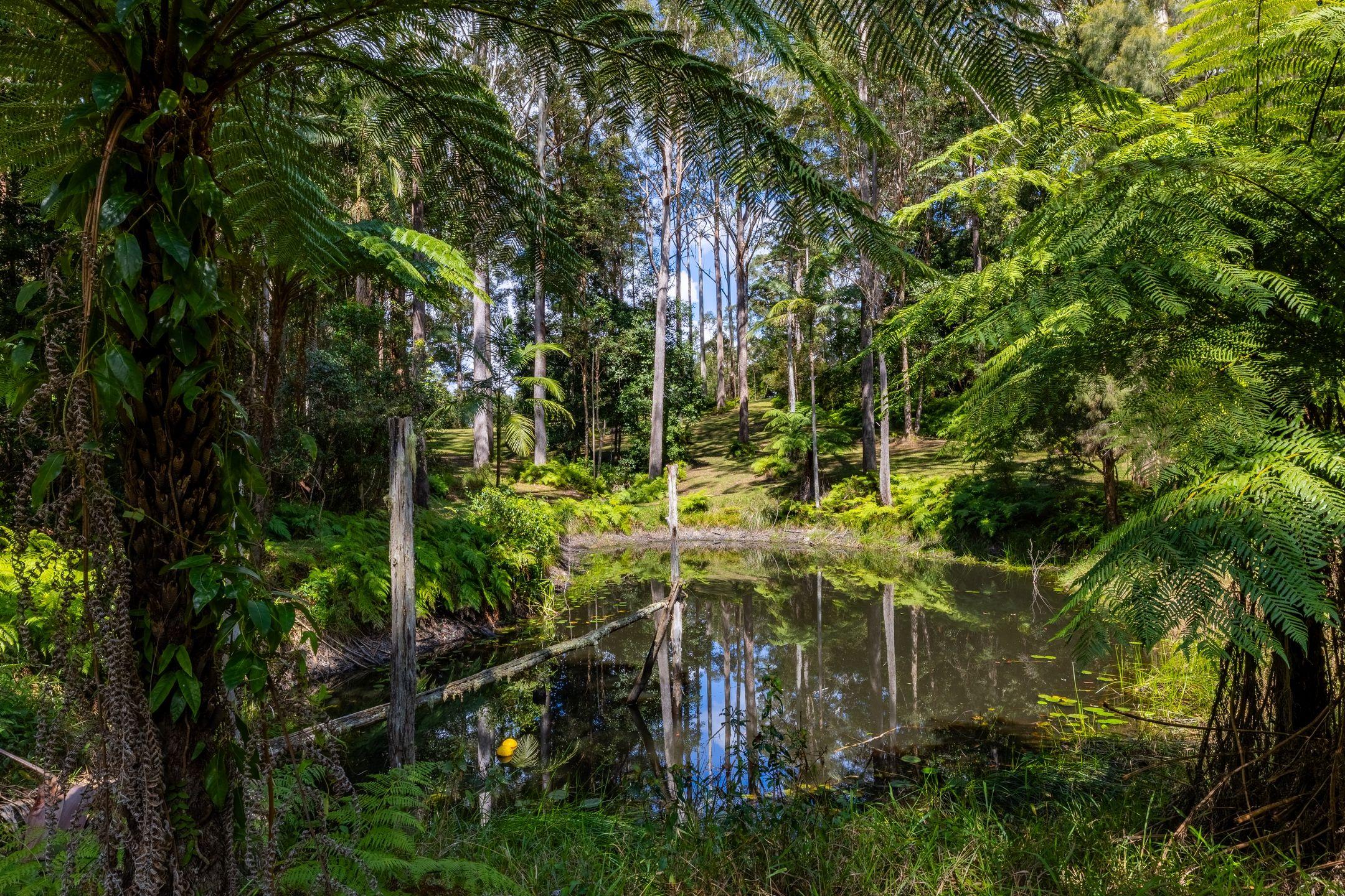 Acreage/Semi-Rural for Sale: Flaxton, QLD 4560, QLD, 4560