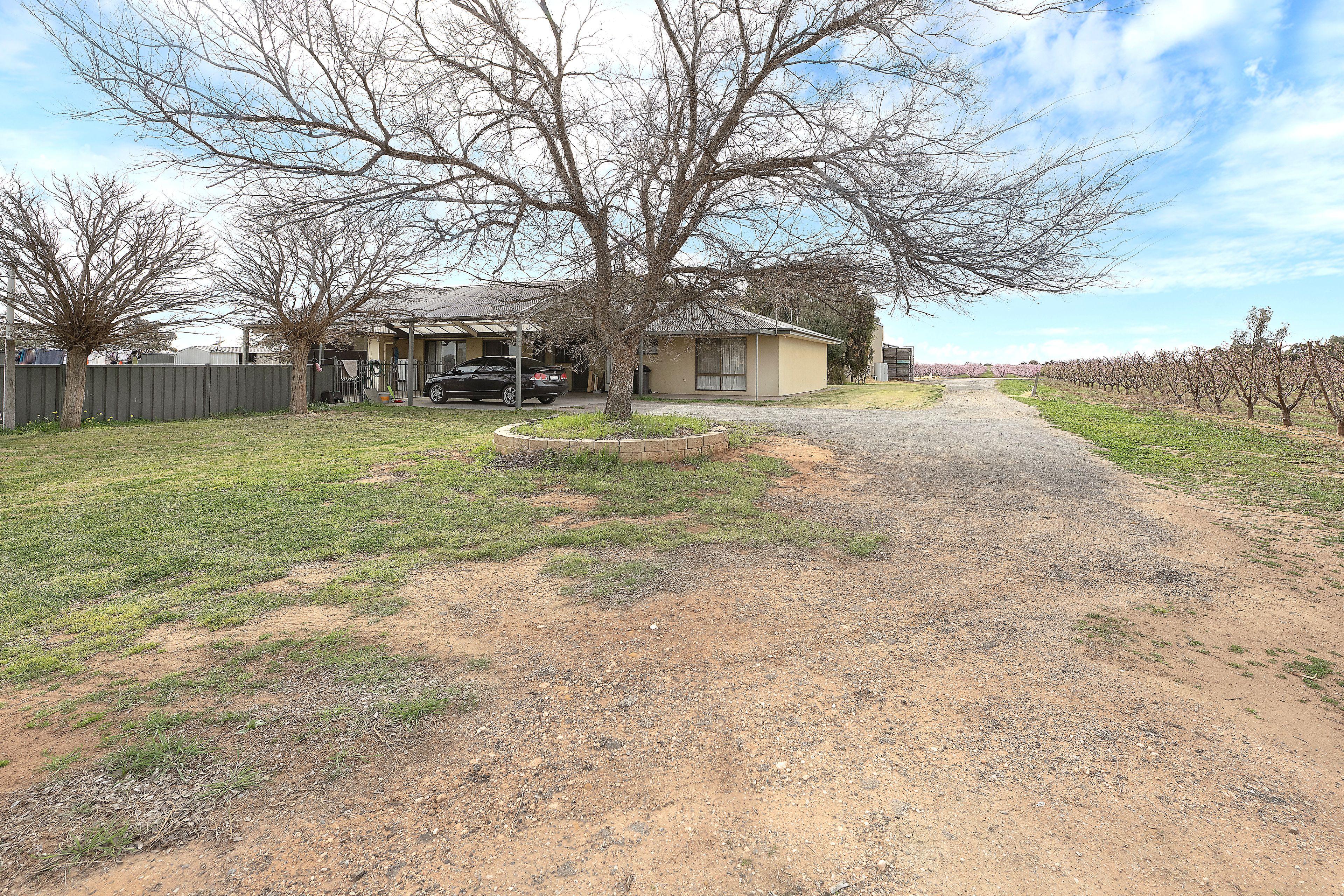 Horticulture for Sale: Woorinen, VIC 3589, VIC, 3589