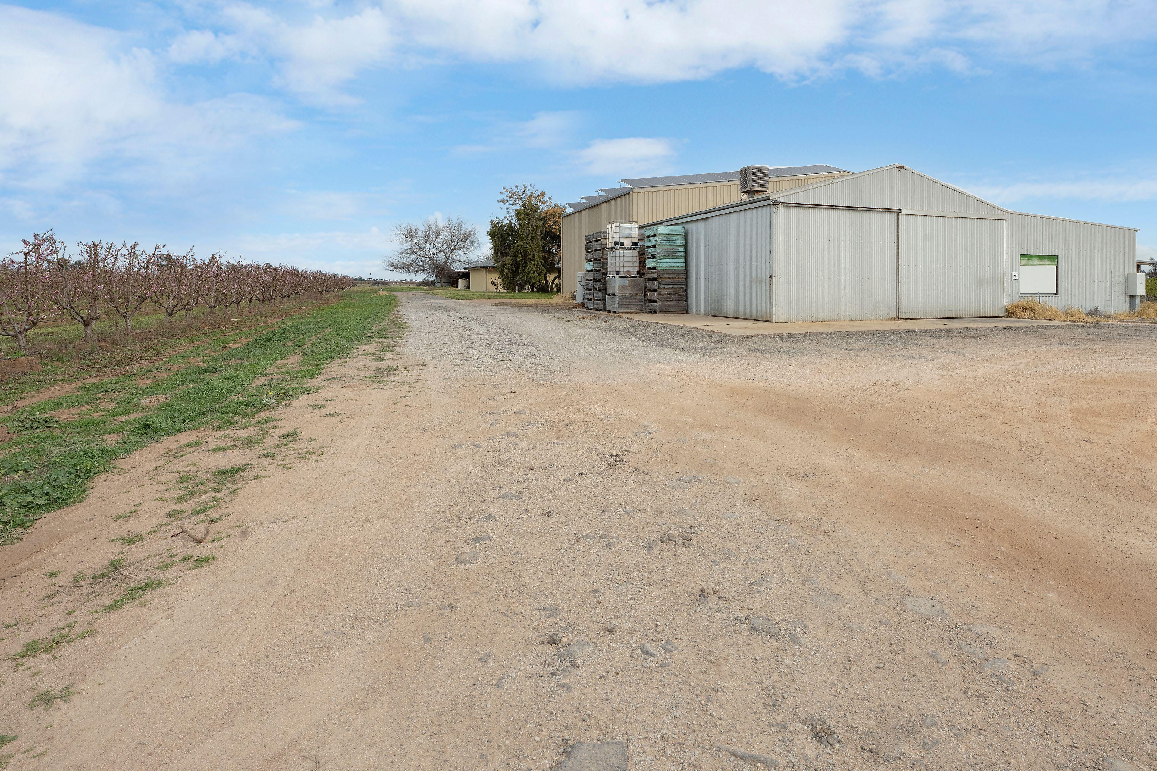 Horticulture for Sale: Woorinen, VIC 3589, VIC, 3589