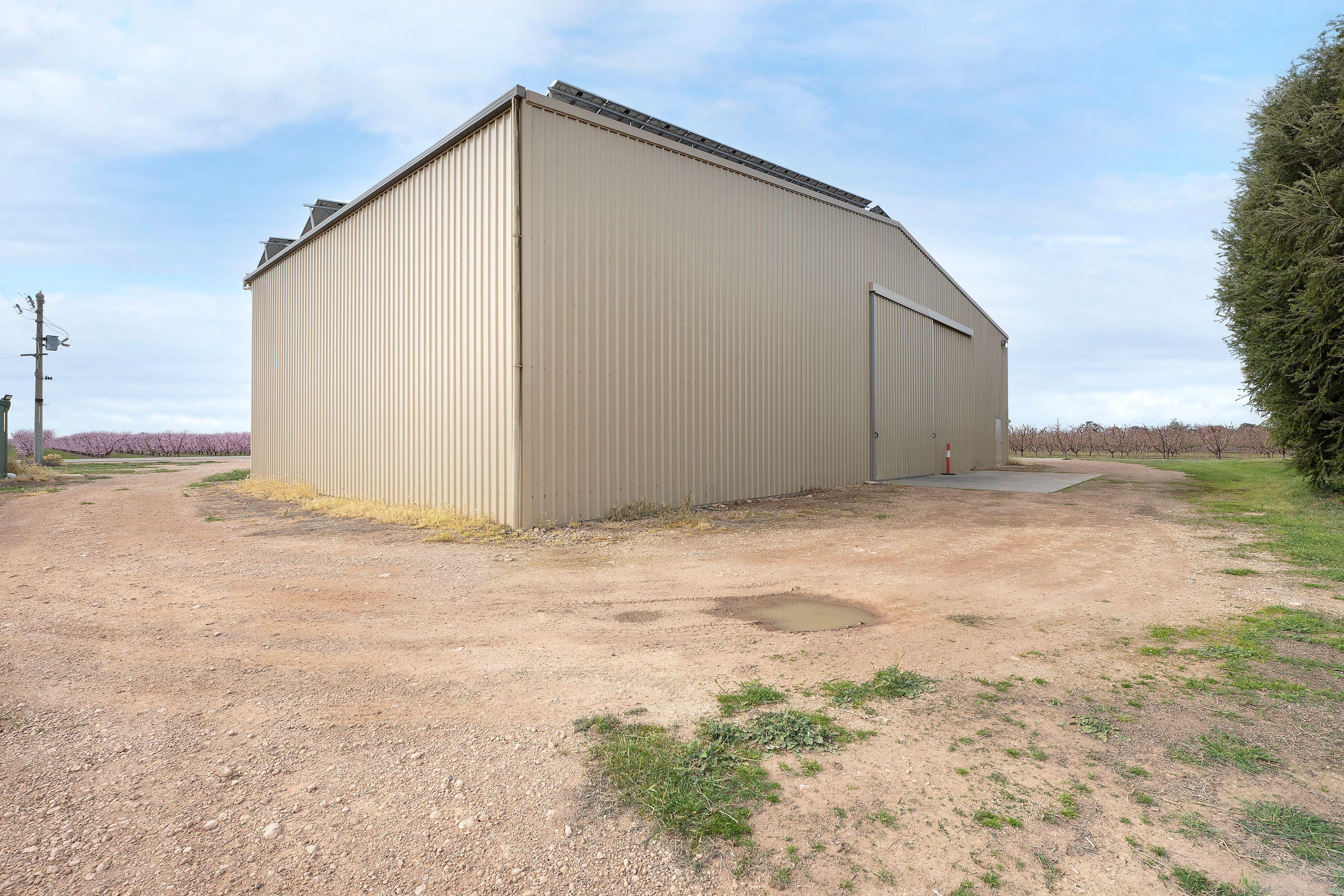 Horticulture for Sale: Woorinen, VIC 3589, VIC, 3589