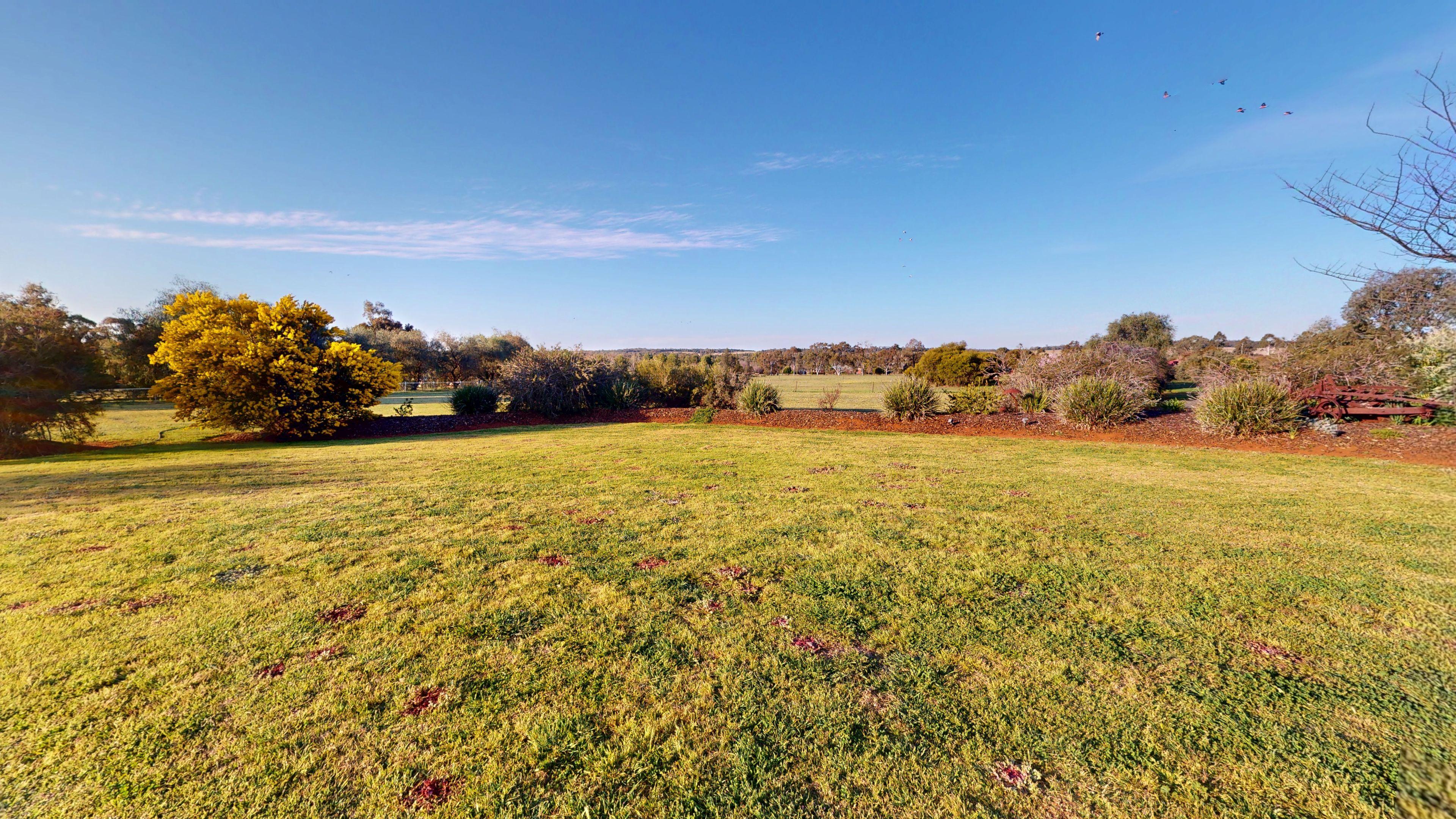 House for Sale: Dubbo, NSW 2830, NSW, 2830
