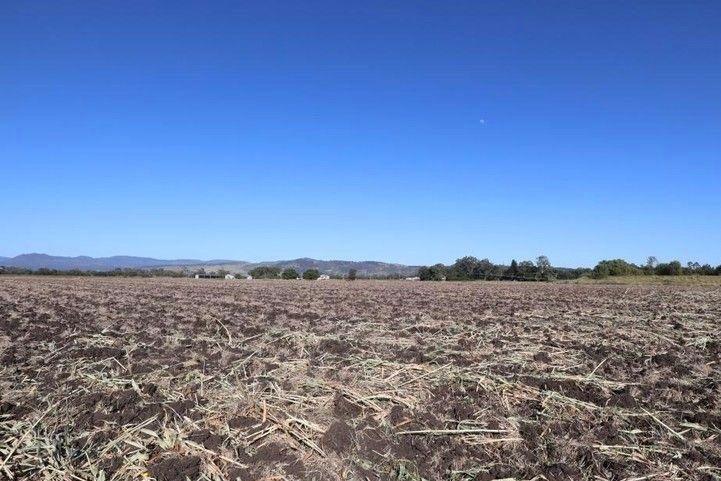 Cropping for Sale: Laidley South, QLD 4341, QLD, 4341
