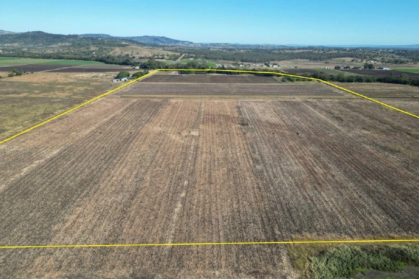 Cropping for Sale: Laidley South, QLD 4341, QLD, 4341
