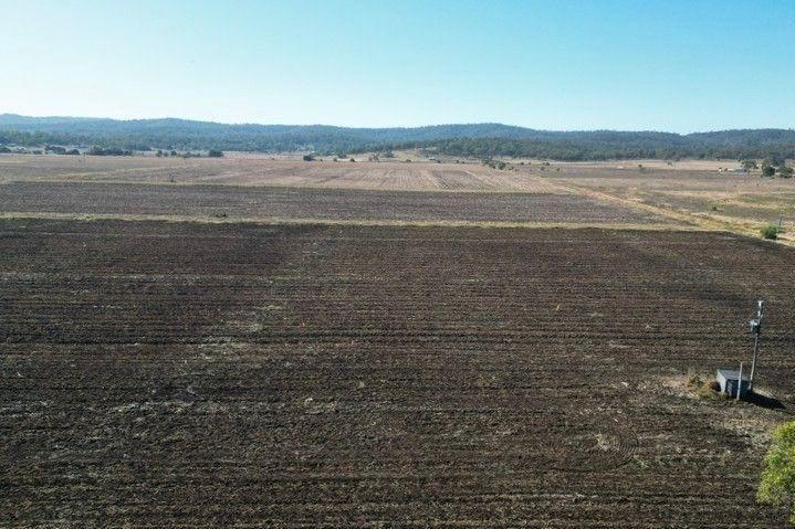 Cropping for Sale: Laidley South, QLD 4341, QLD, 4341