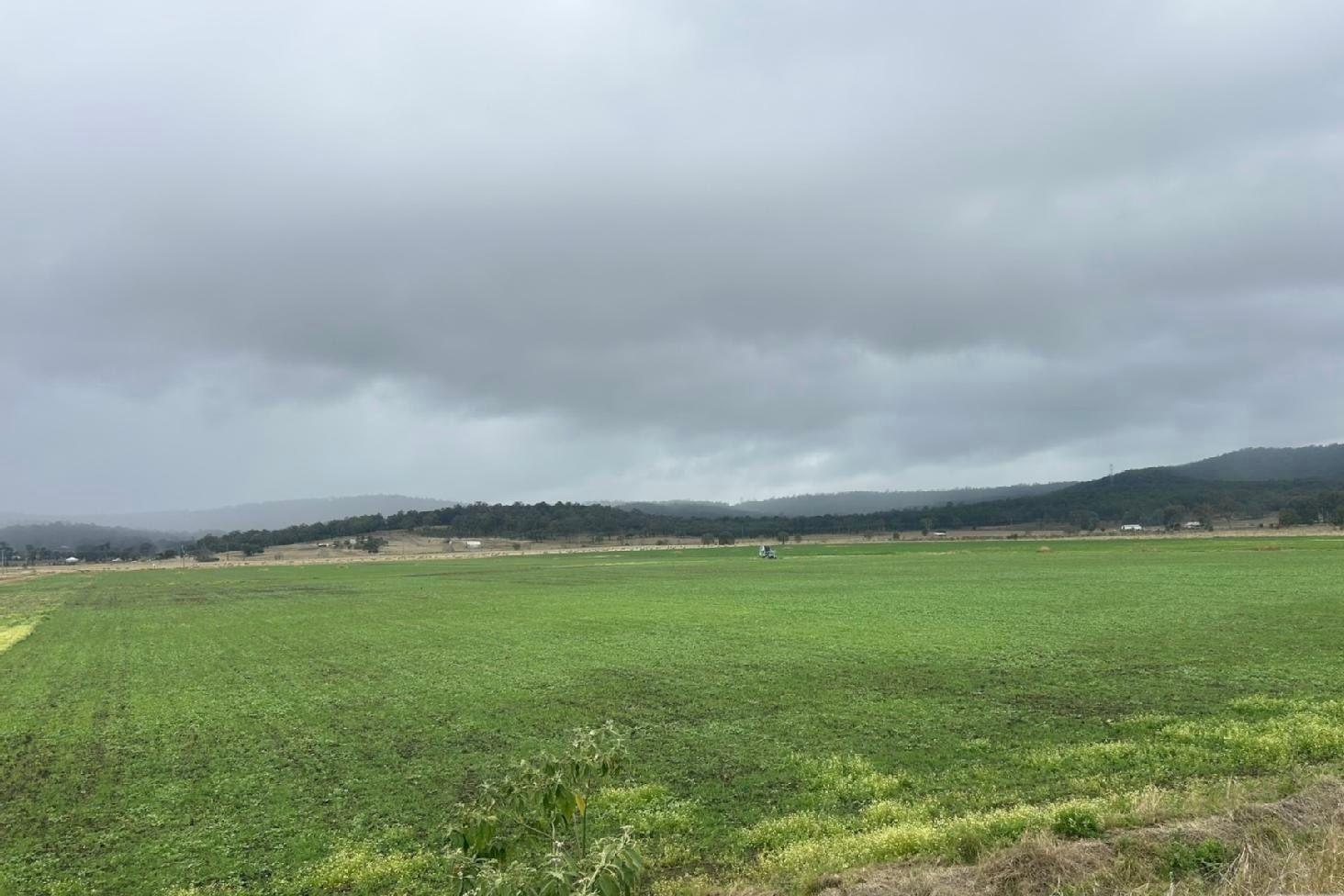 Cropping for Sale: Laidley South, QLD 4341, QLD, 4341