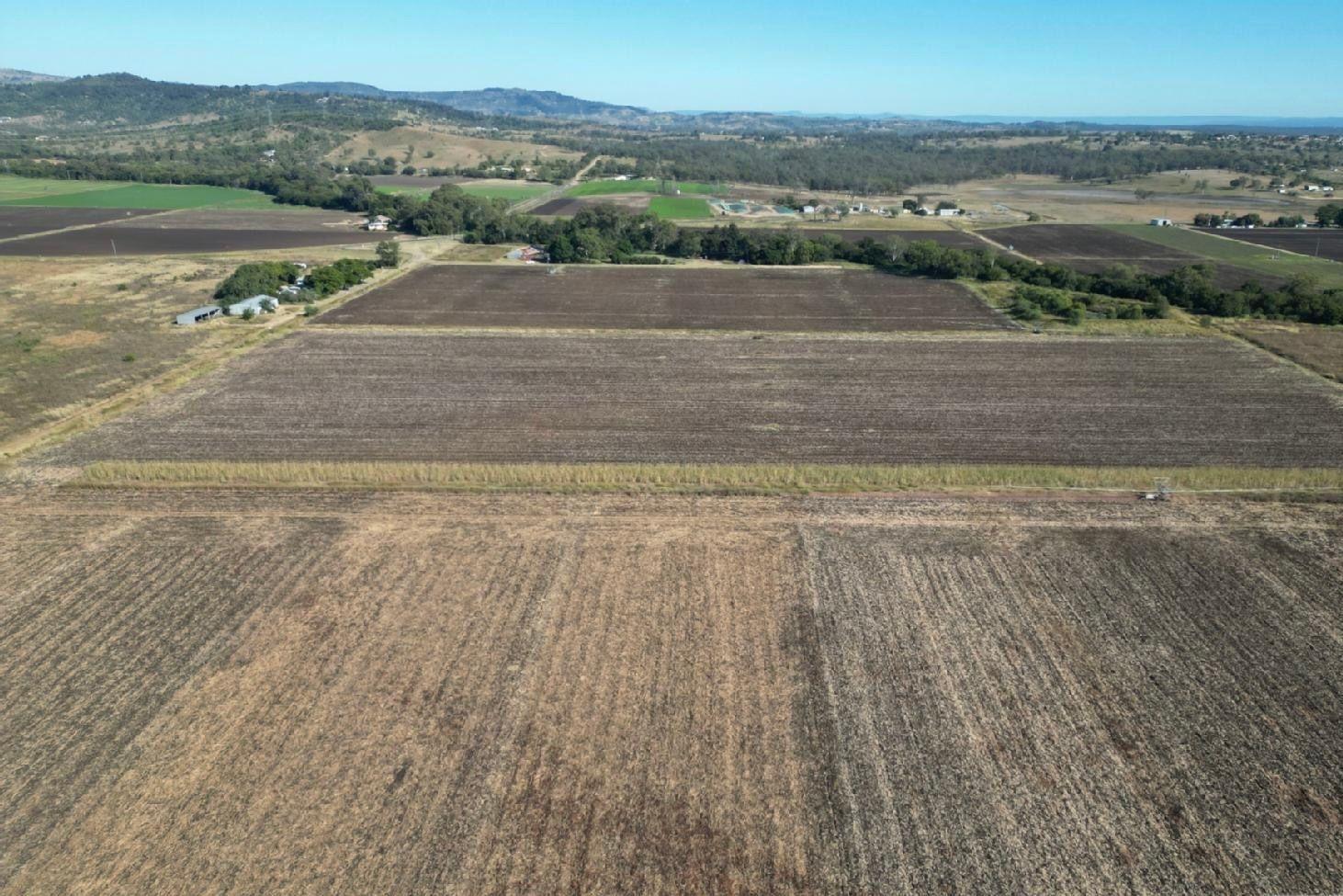 Cropping for Sale: Laidley South, QLD 4341, QLD, 4341