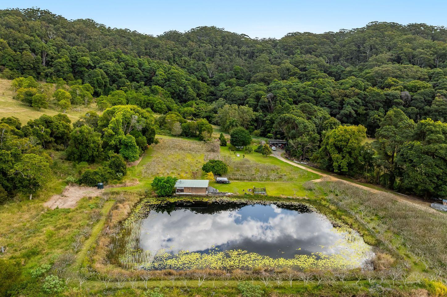 House for Sale: Pimlico, NSW 2478, NSW, 2478