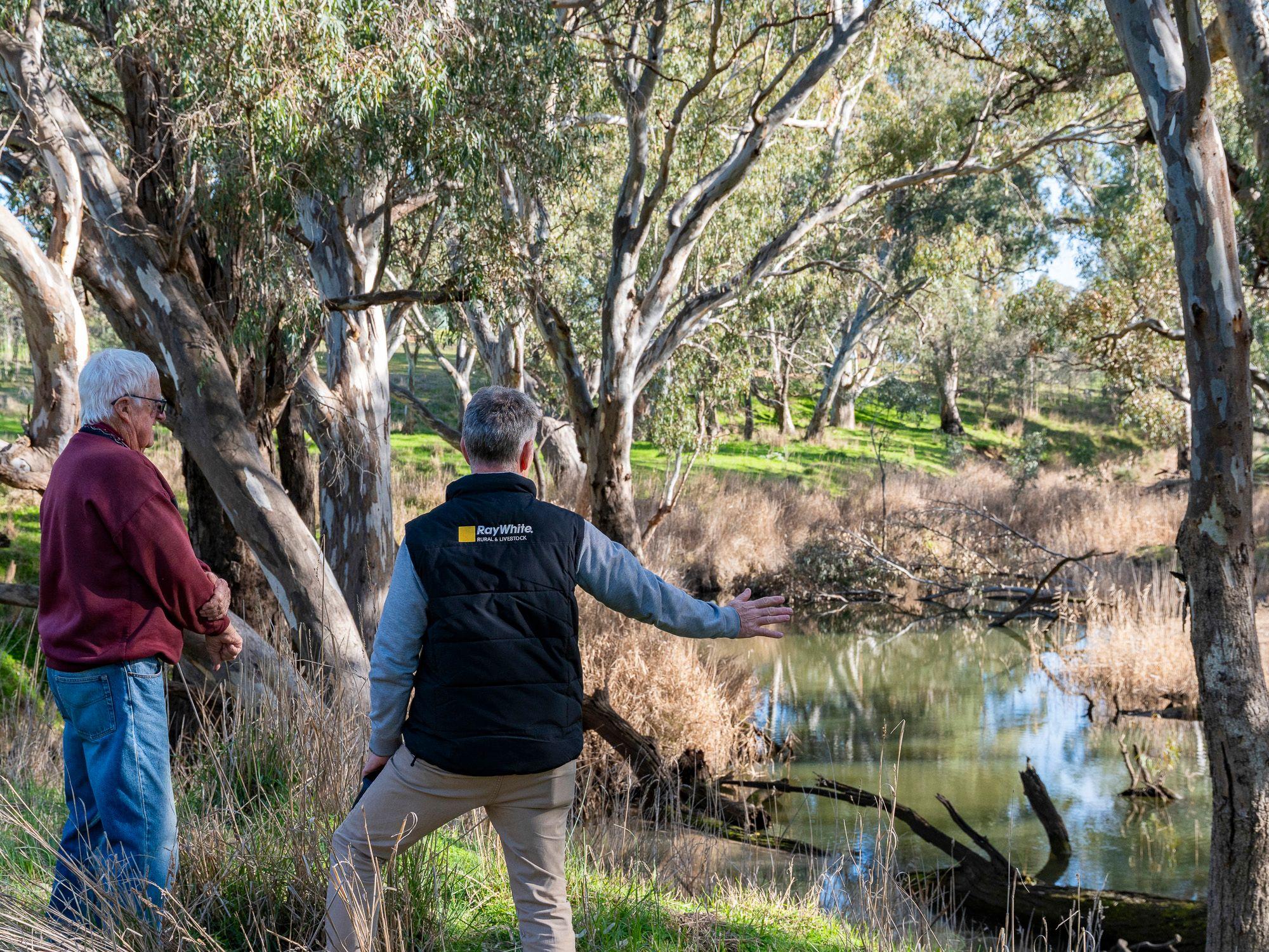 Prop-GPT: Lifestyle: VIC Carisbrook, VIC 3464 Rural