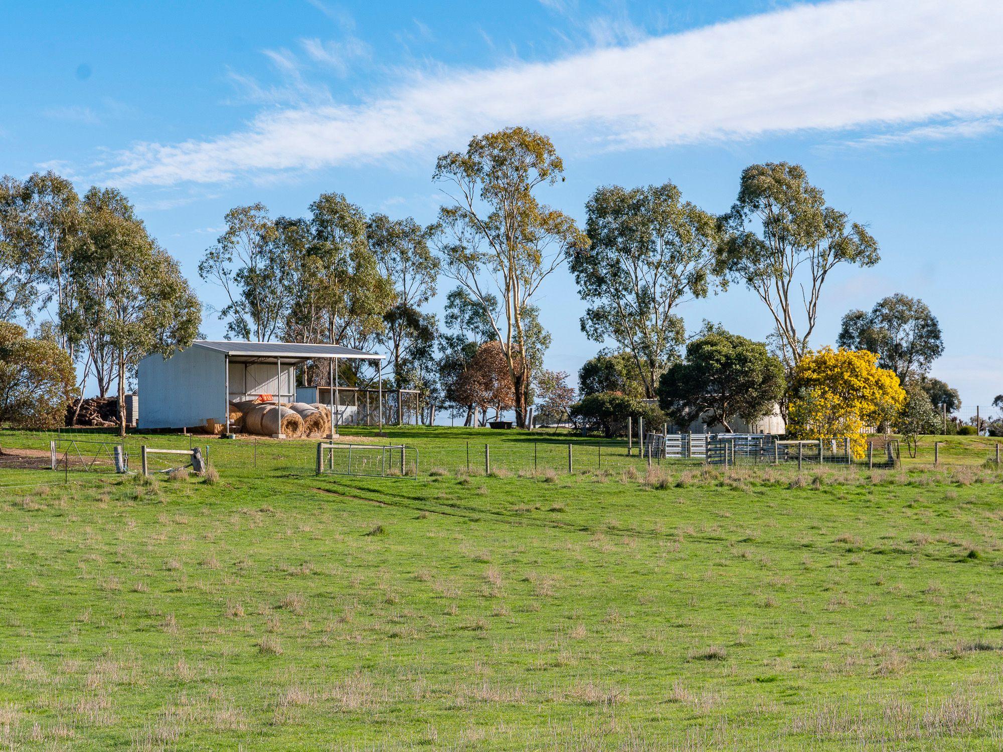 Lifestyle for Sale: Carisbrook, VIC 3464, VIC, 3464