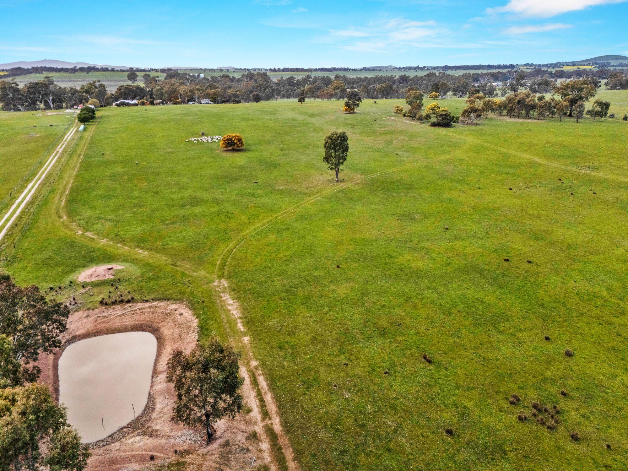 Lifestyle for Sale: Carisbrook, VIC 3464, VIC, 3464