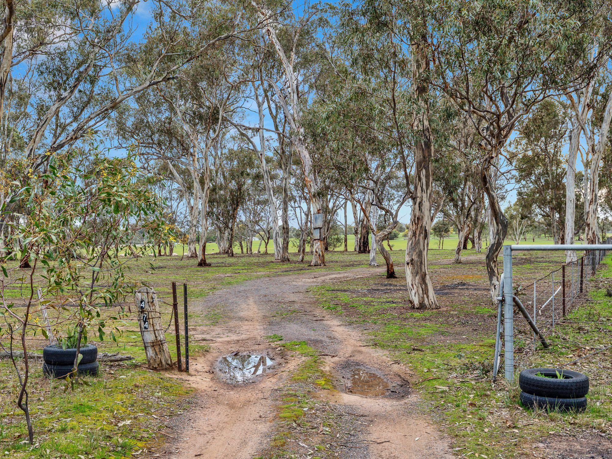 Lifestyle for Sale: Carisbrook, VIC 3464, VIC, 3464