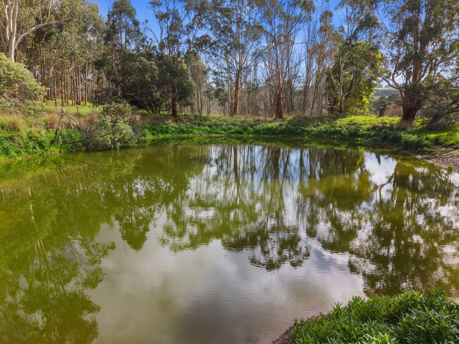 Other for Sale: Scotts Creek, VIC 3267, VIC, 3267