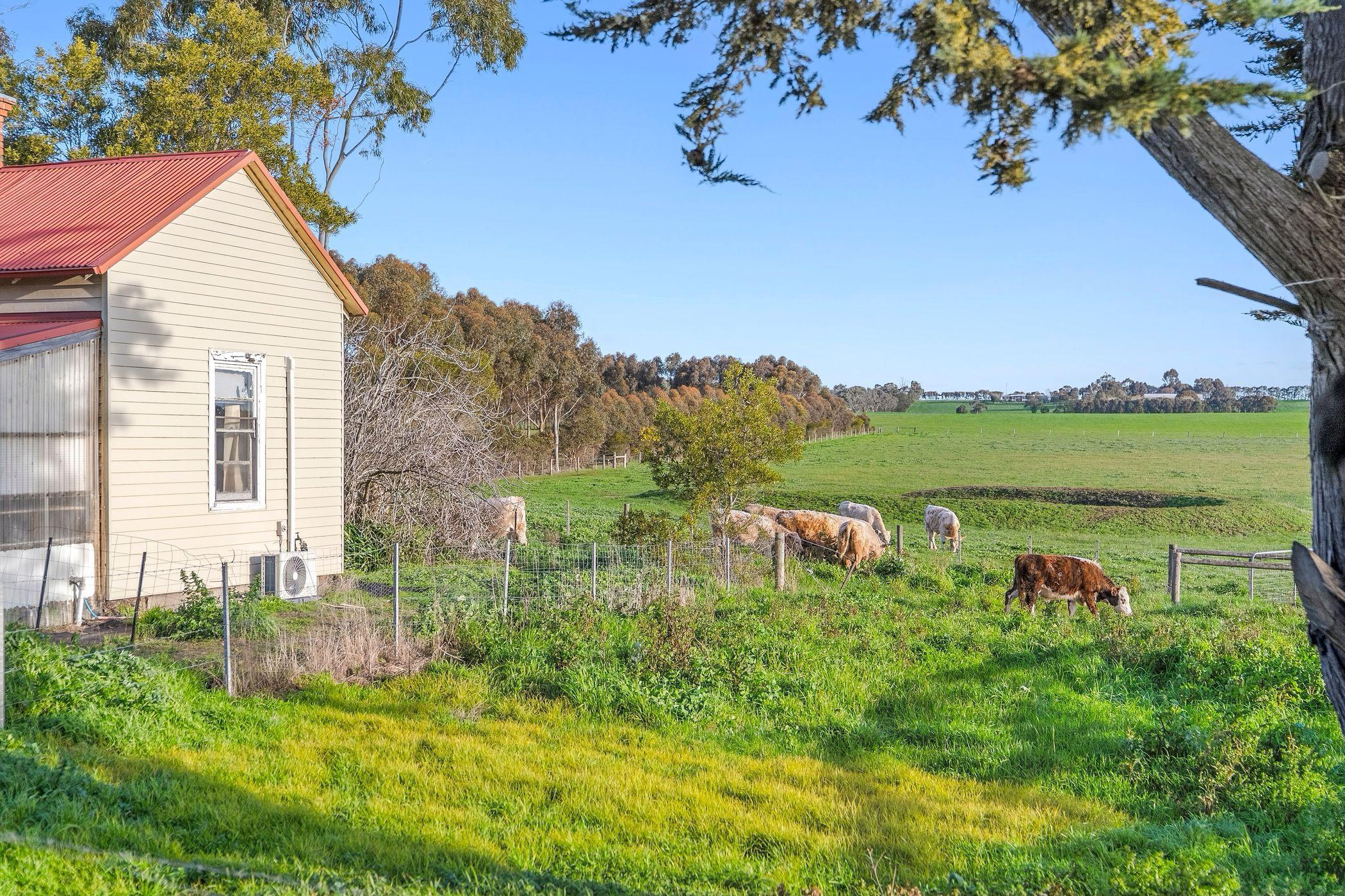 Lifestyle for Sale: Irrewarra, VIC 3249, VIC, 3249