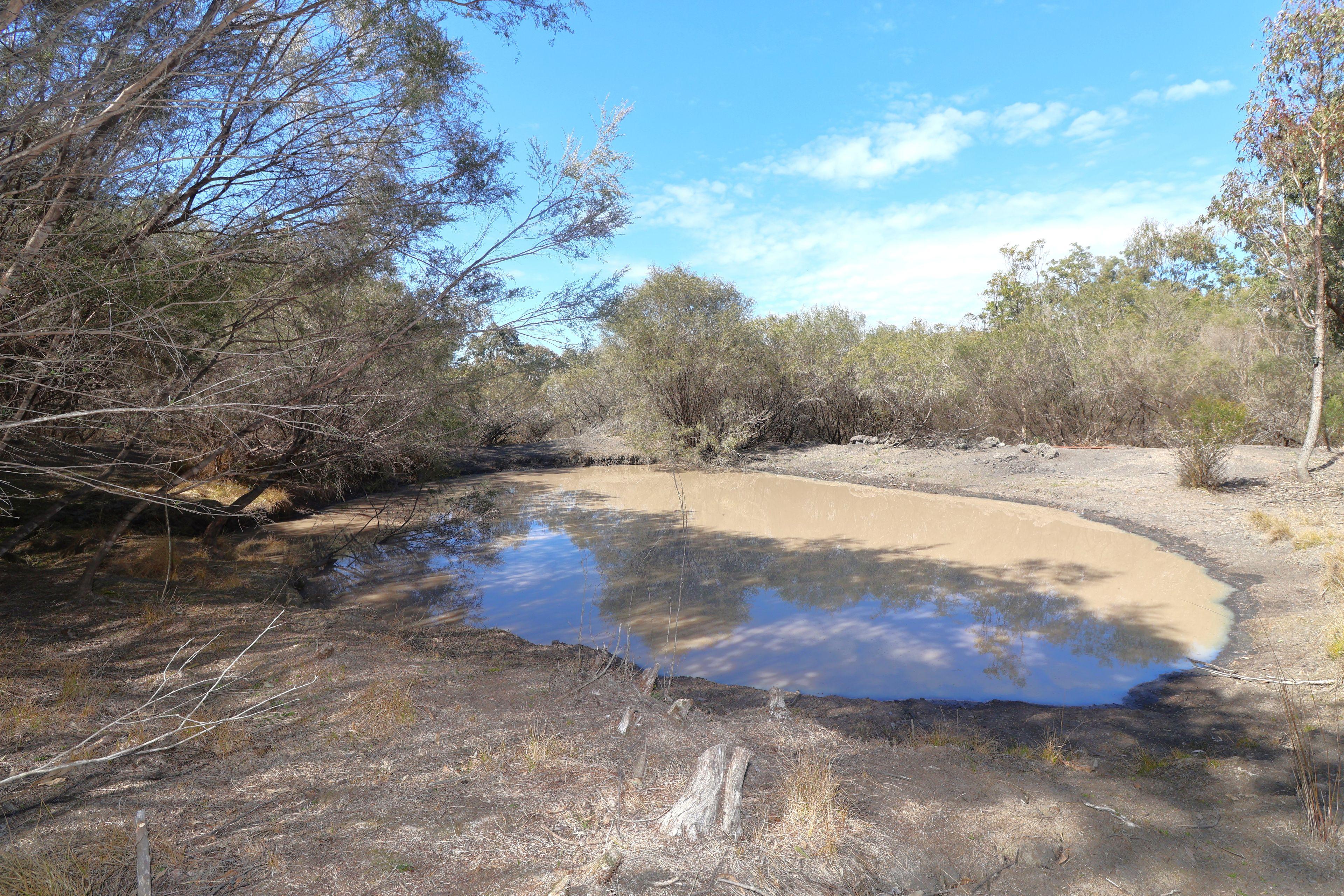 Lifestyle for Sale: Emmaville, NSW 2371, NSW, 2371