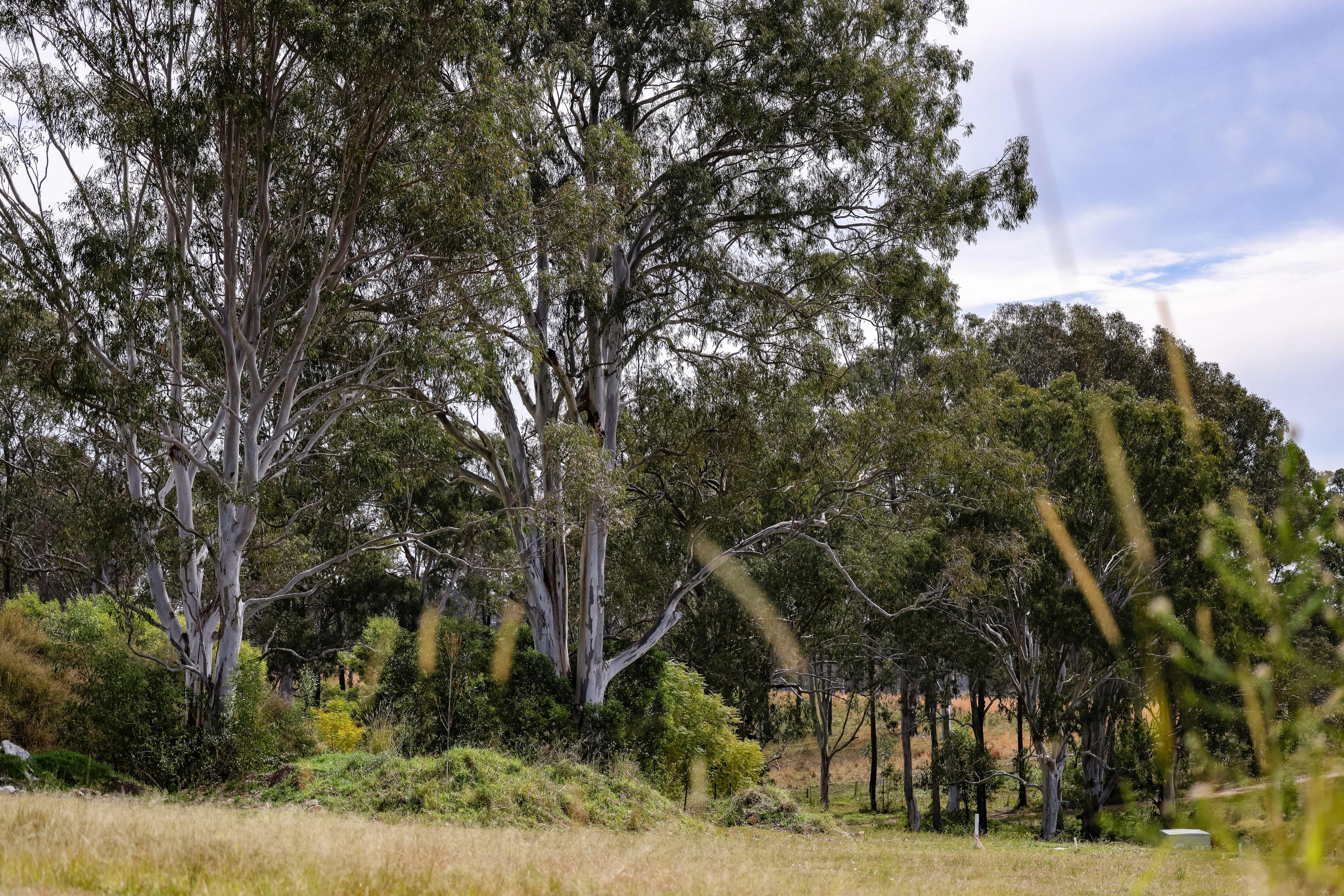 Land for Sale: Taree, NSW 2430, NSW, 2430