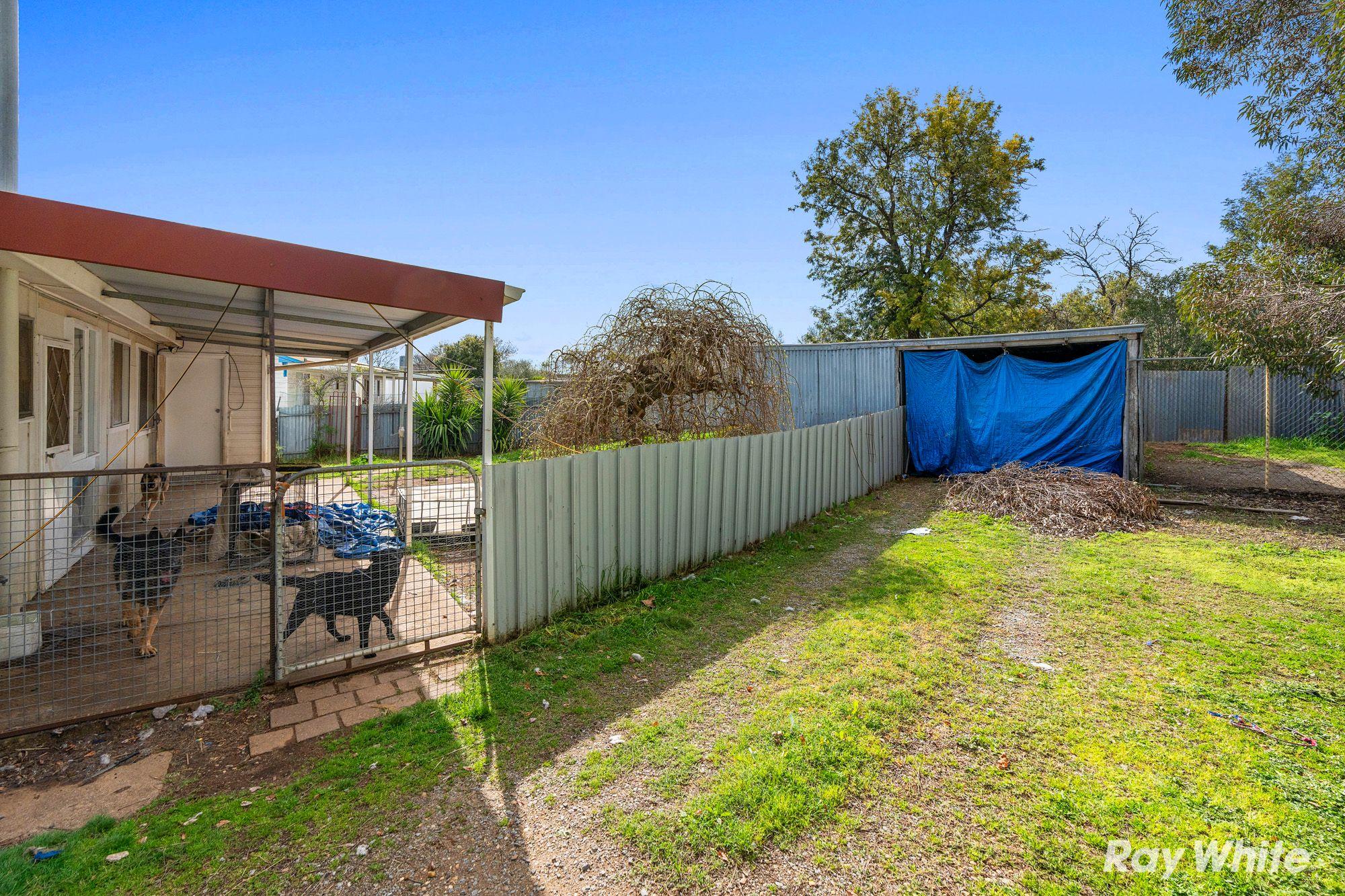 House for Sale: Junee, NSW 2663, NSW, 2663