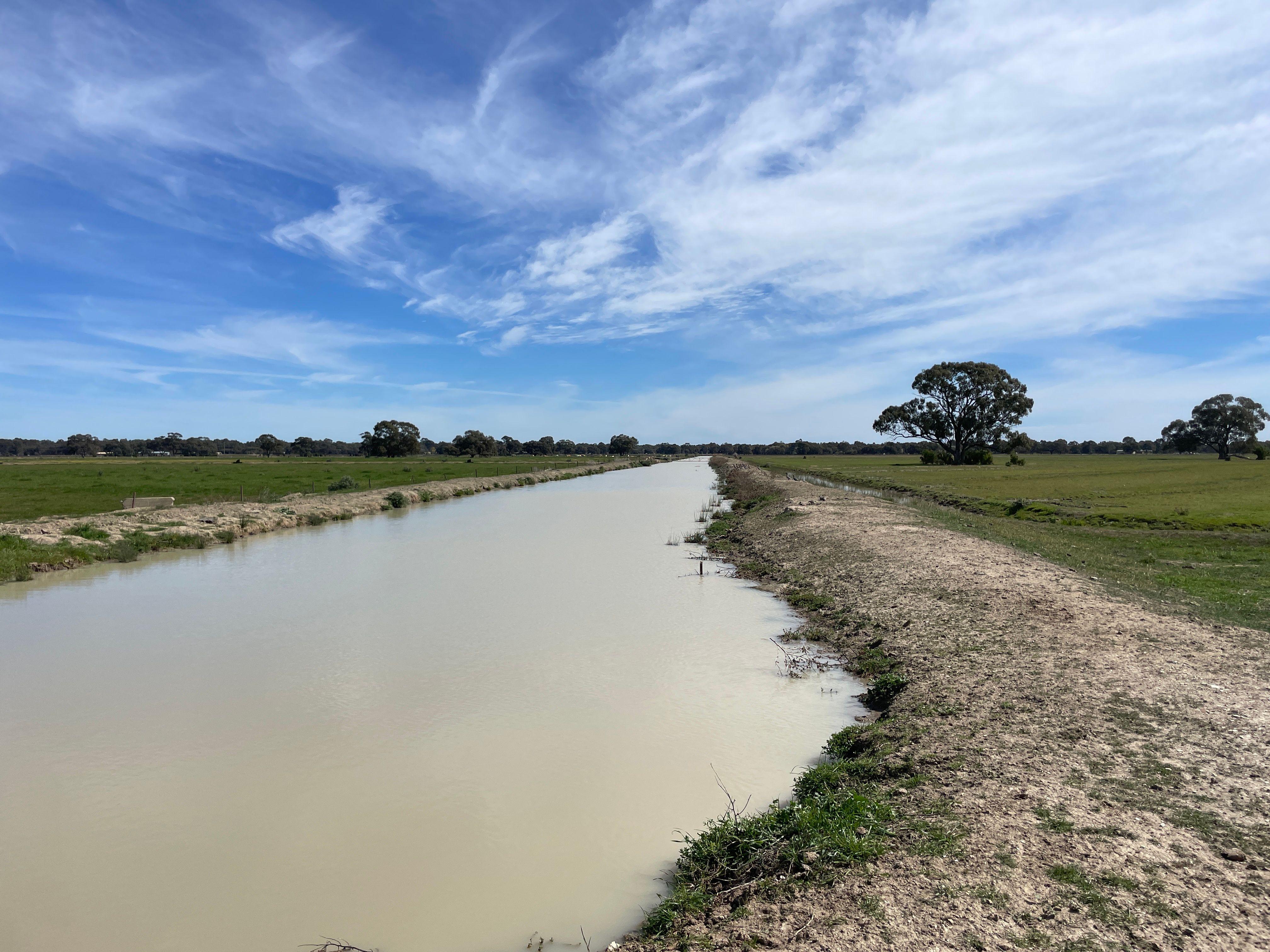 Mixed Farming for Sale: Deniliquin, NSW 2710, NSW, 2710
