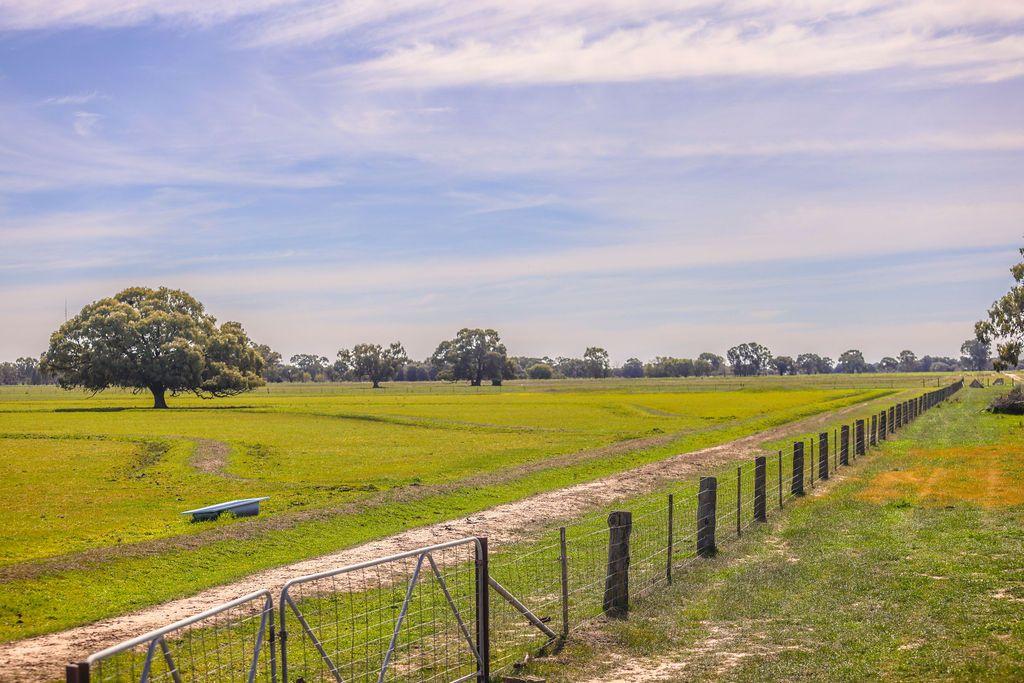 Mixed Farming for Sale: Deniliquin, NSW 2710, NSW, 2710