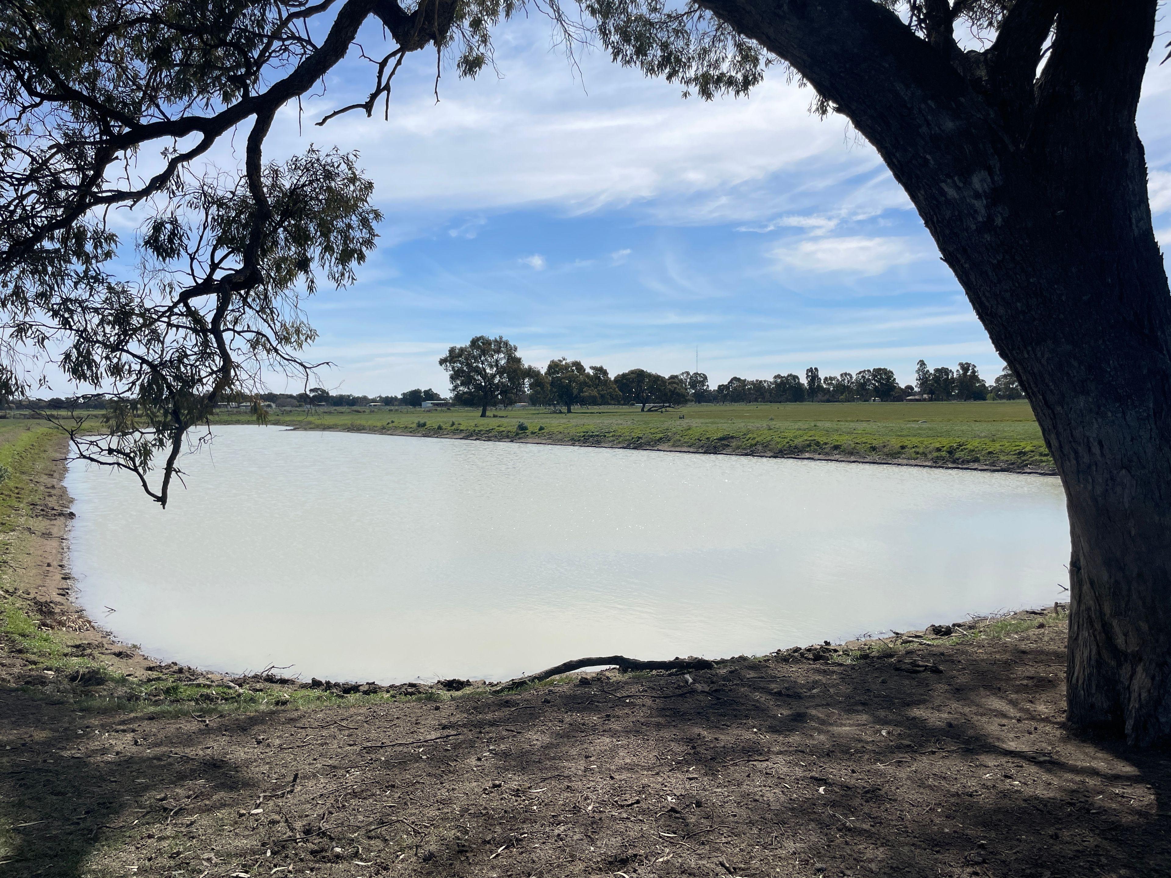 Mixed Farming for Sale: Deniliquin, NSW 2710, NSW, 2710