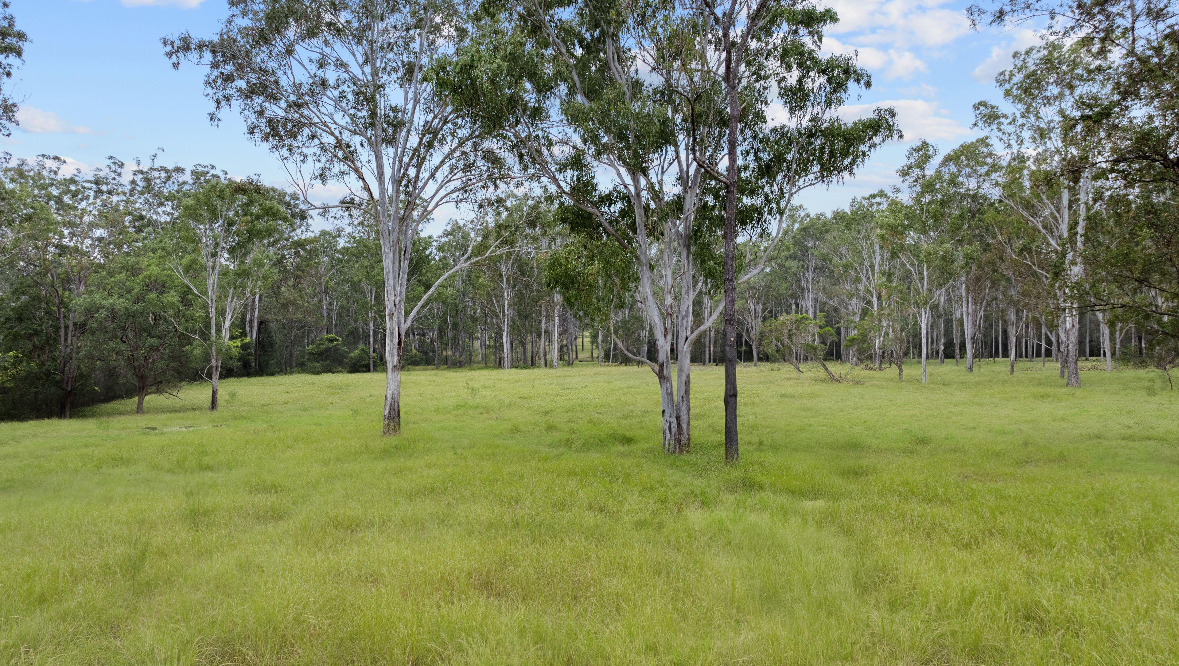 Lifestyle for Sale: Coutts Crossing, NSW 2460, NSW, 2460