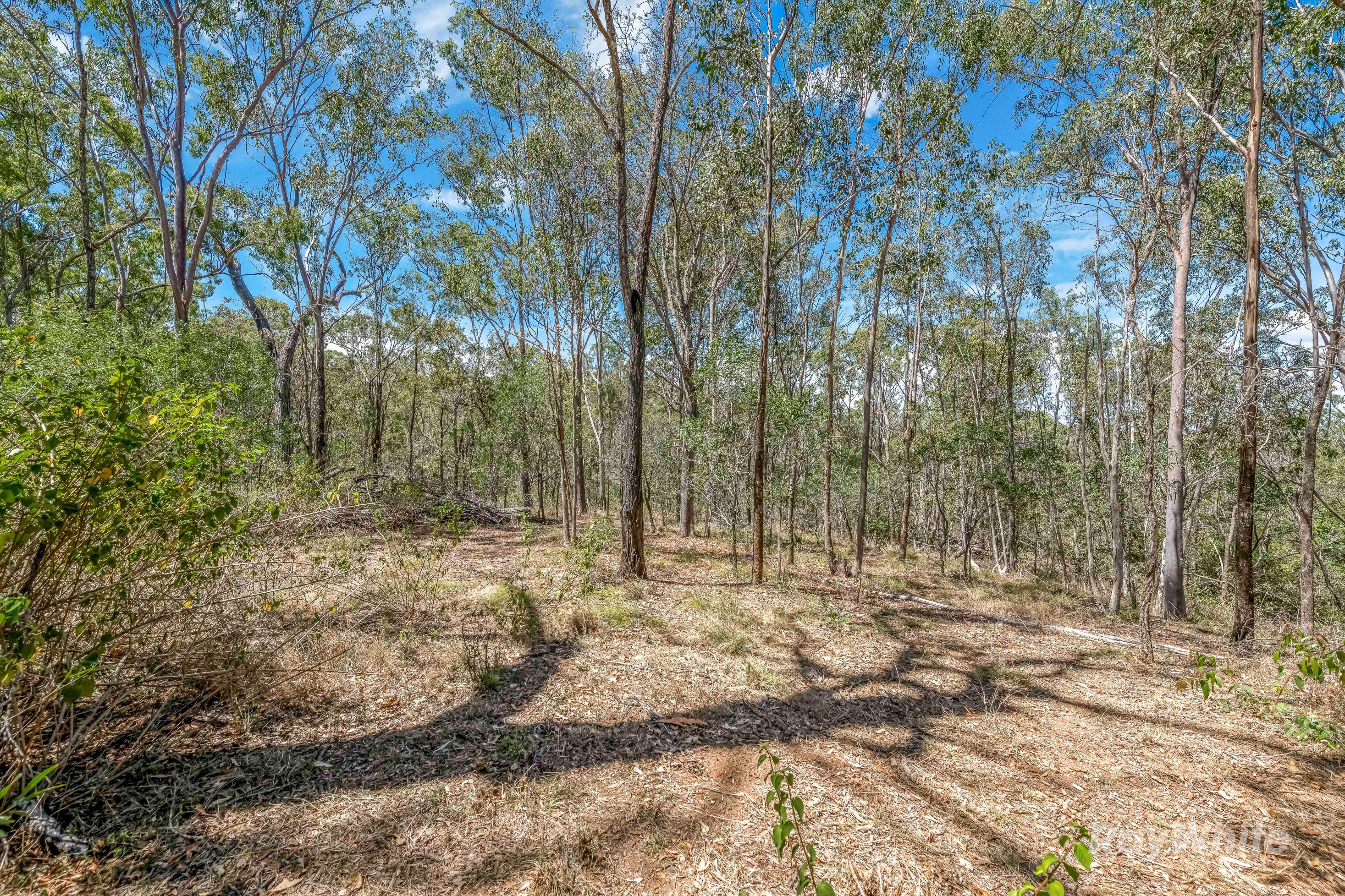 Land for Sale: Gin Gin, QLD 4671, QLD, 4671