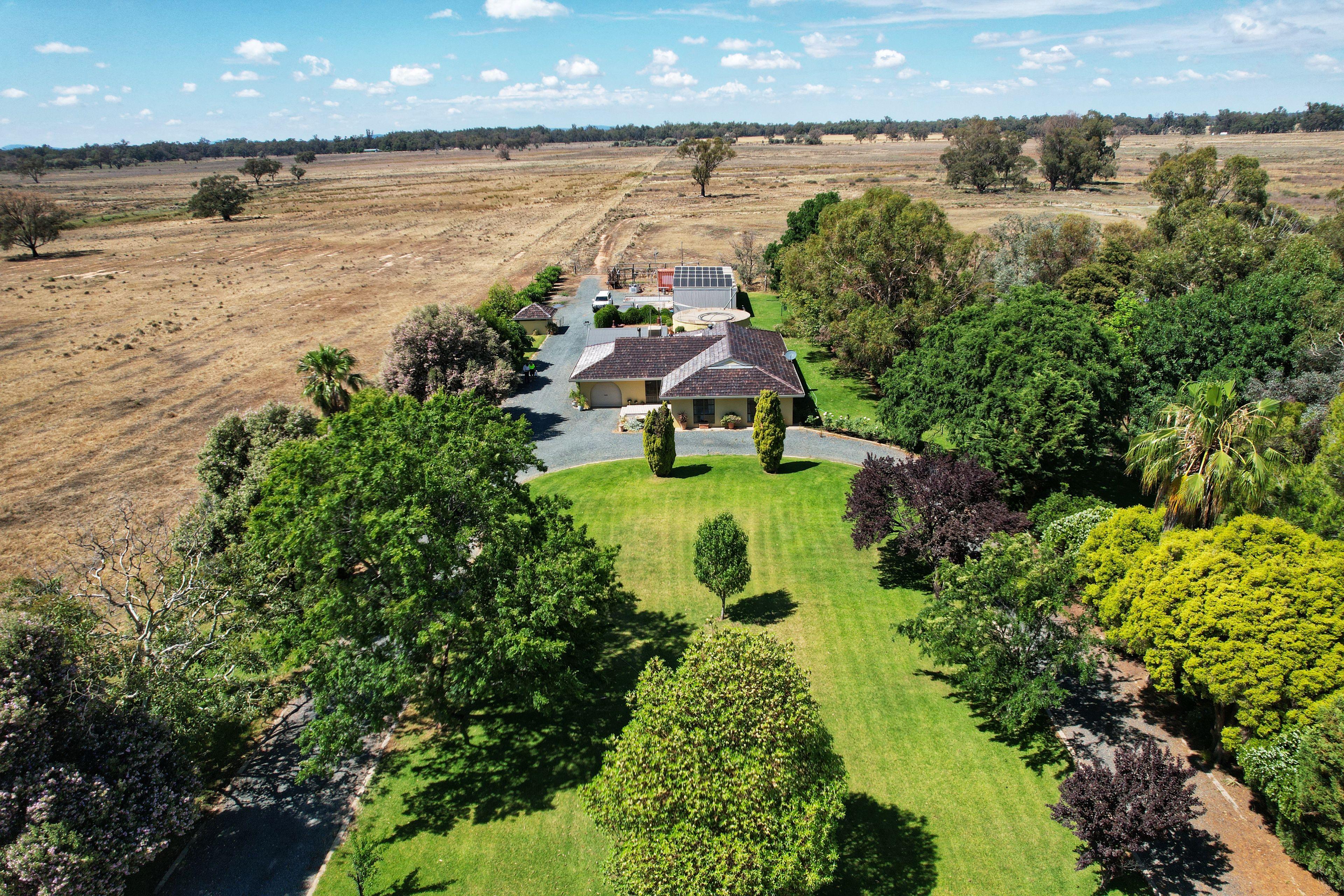 Prop-GPT: Lifestyle: NSW Condobolin, NSW 2877 Rural