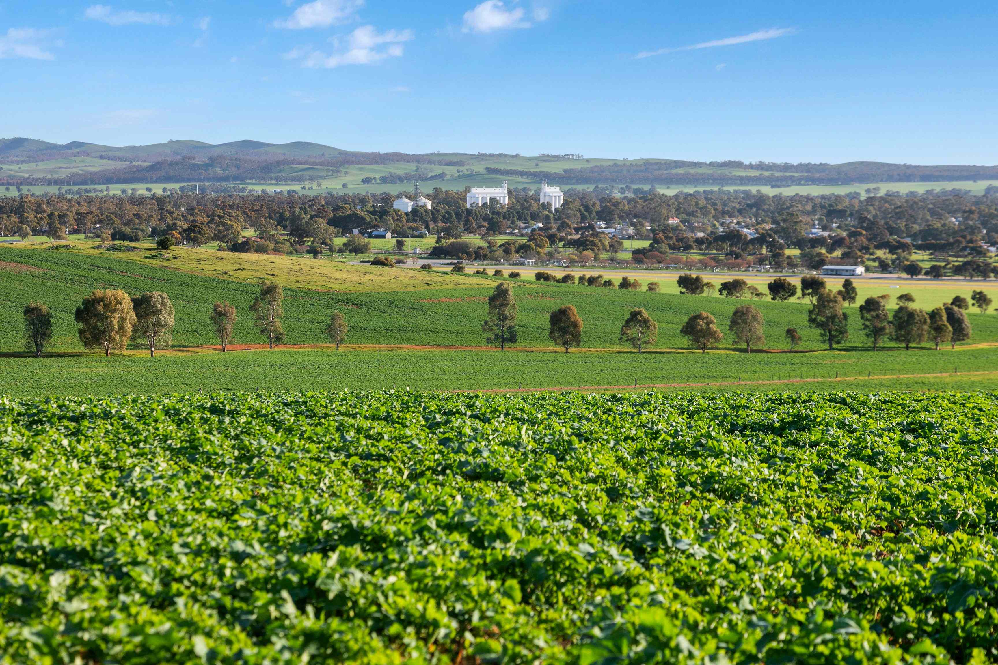 Rural: SA Jamestown, SA 5491 Cropping | Prop-GPT the AI-Powered Property Portal