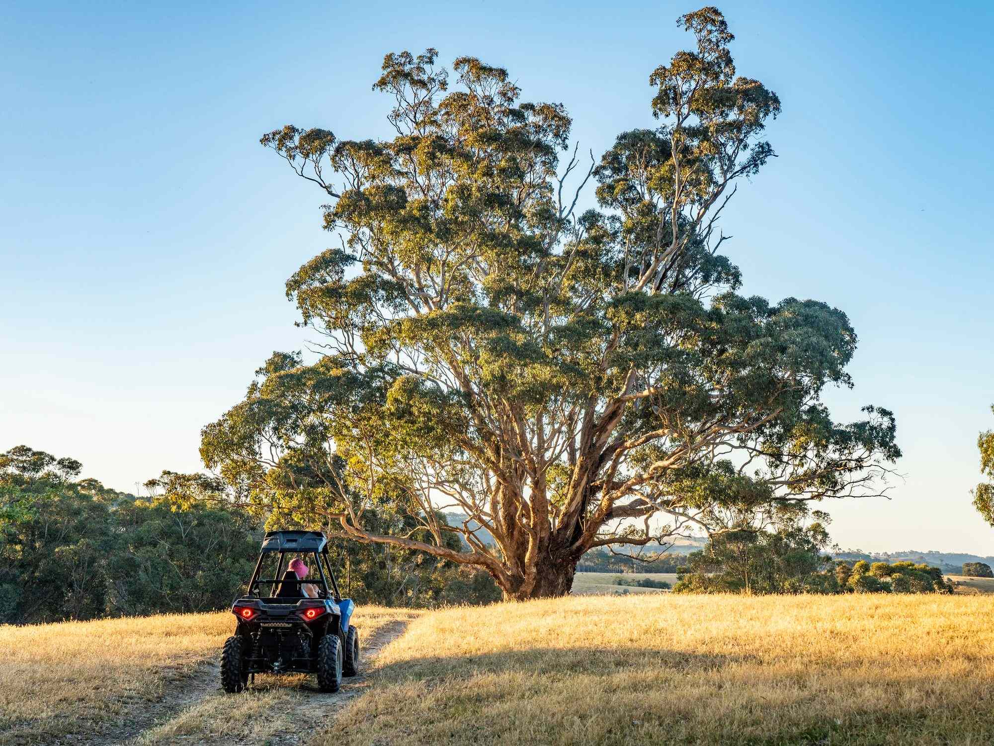 Rural: VIC Creightons Creek, VIC 3666 Mixed Farming | Prop-GPT the AI-Powered Property Portal