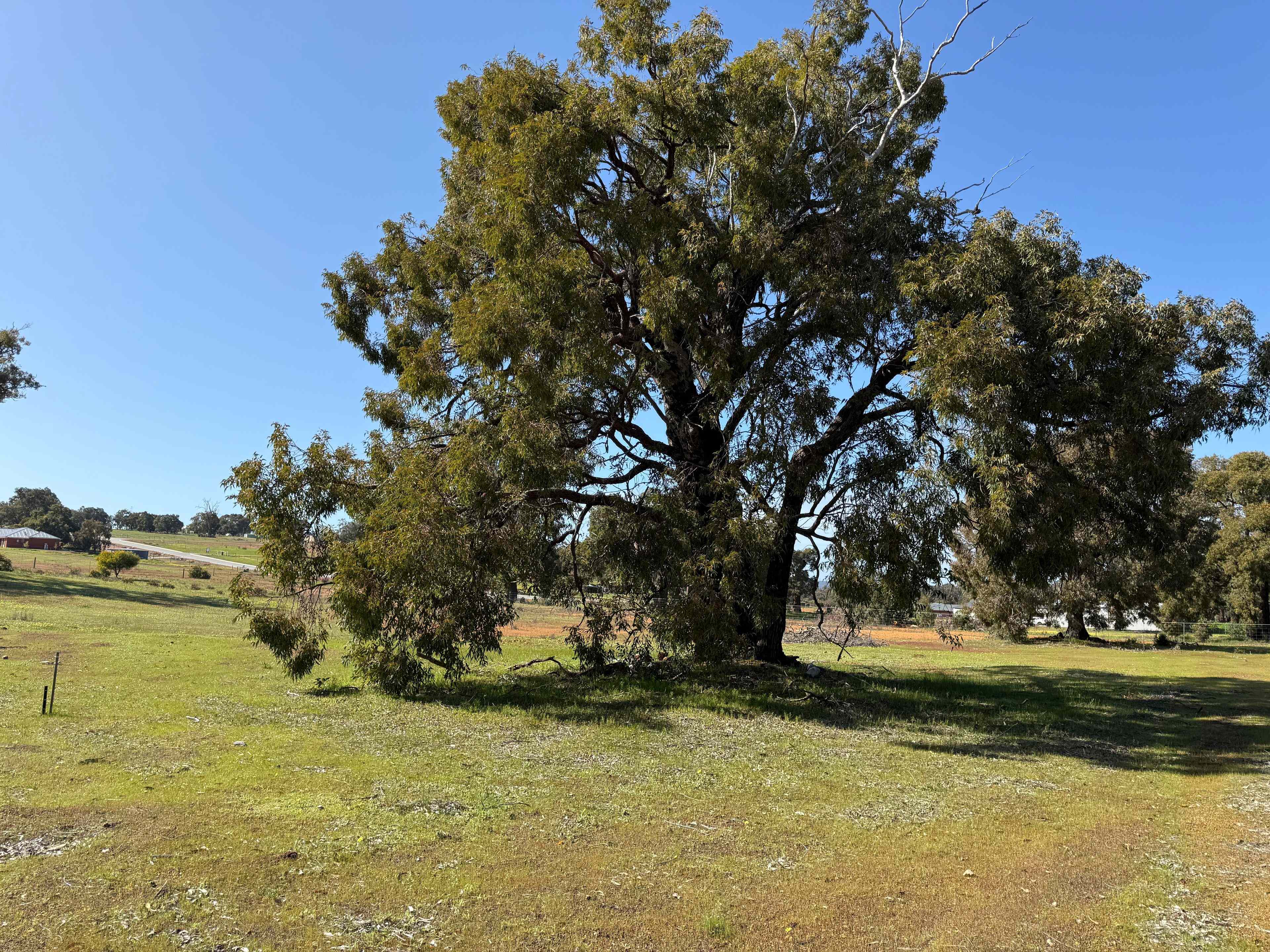 Prop-GPT: Land: WA Lower Chittering, WA 6084 Home For Sale
