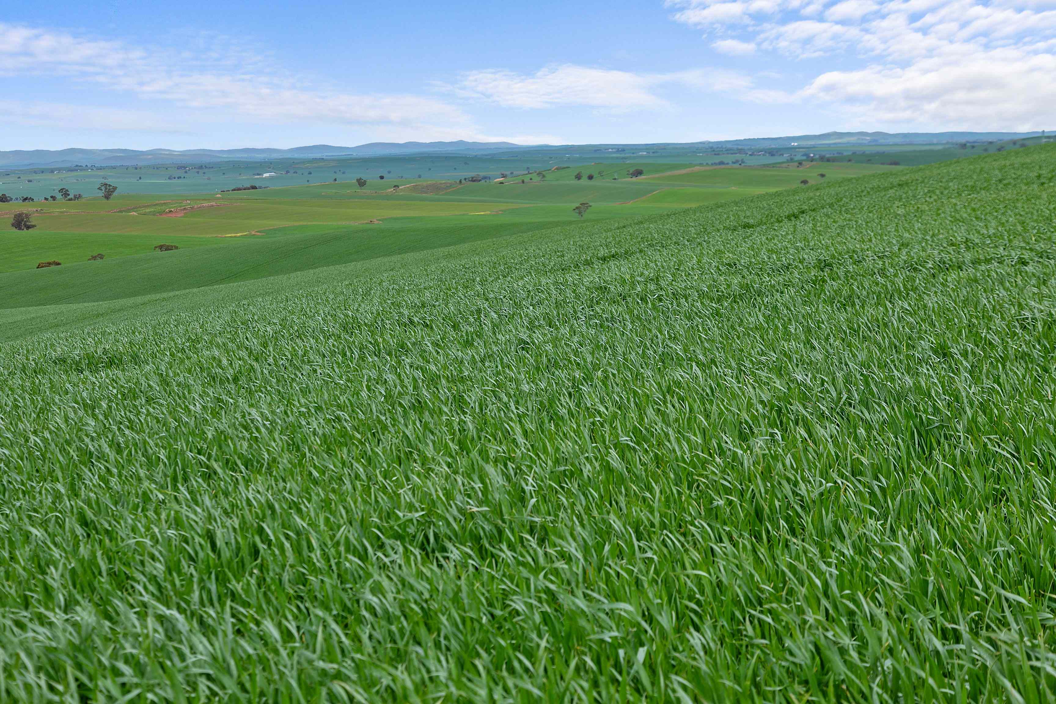 Rural: SA Wirrabara, SA 5481 Mixed Farming | Prop-GPT the AI-Powered Property Portal