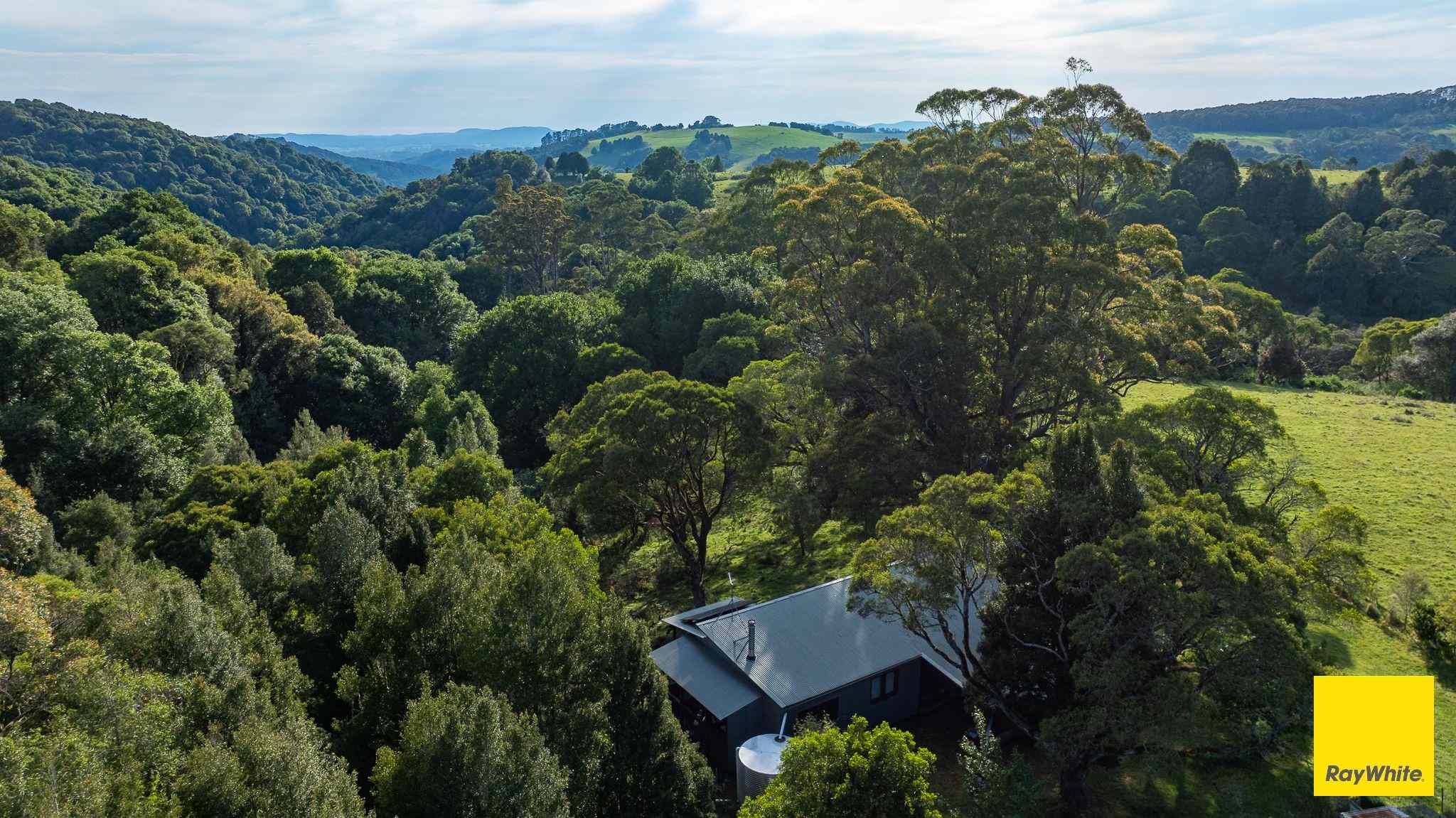 The Perfect Balance of Productivity and Conservation: NSW North Dorrigo, NSW 2453 Mixed Farming | Prop-GPT the AI-Powered Property Portal