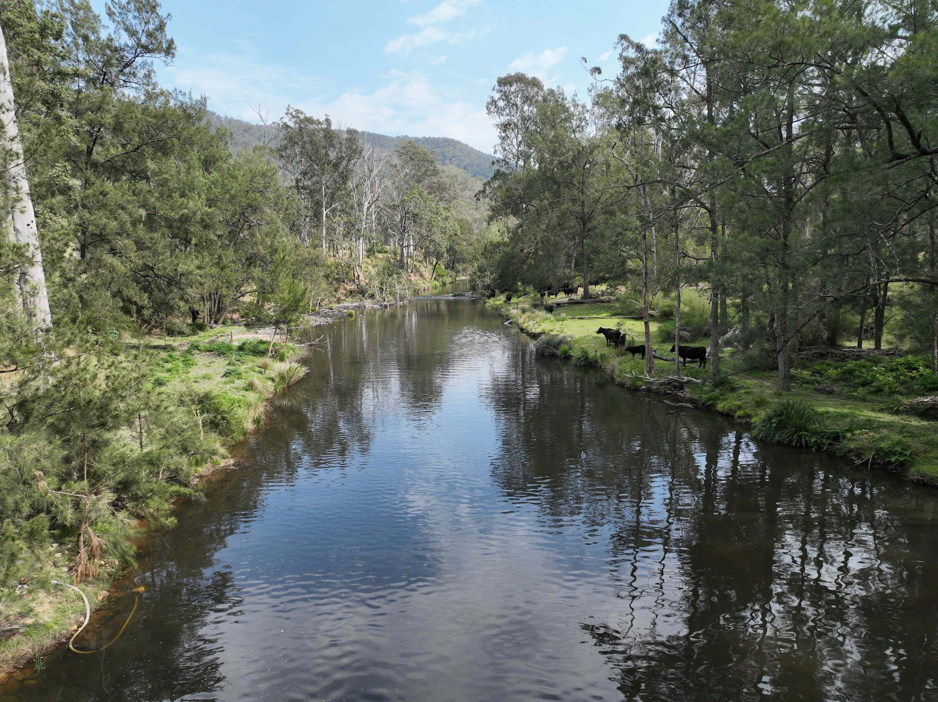 HIDDEN NEW ENGLAND BEEF JEWEL- 