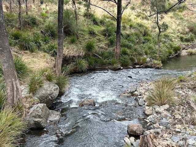 Prop-GPT: Property: NSW Yarrowitch, NSW 2354 1715 Kangaroo Flat Road, Yarrowitch, NSW 2354 - Other for Sale - harcourts.net