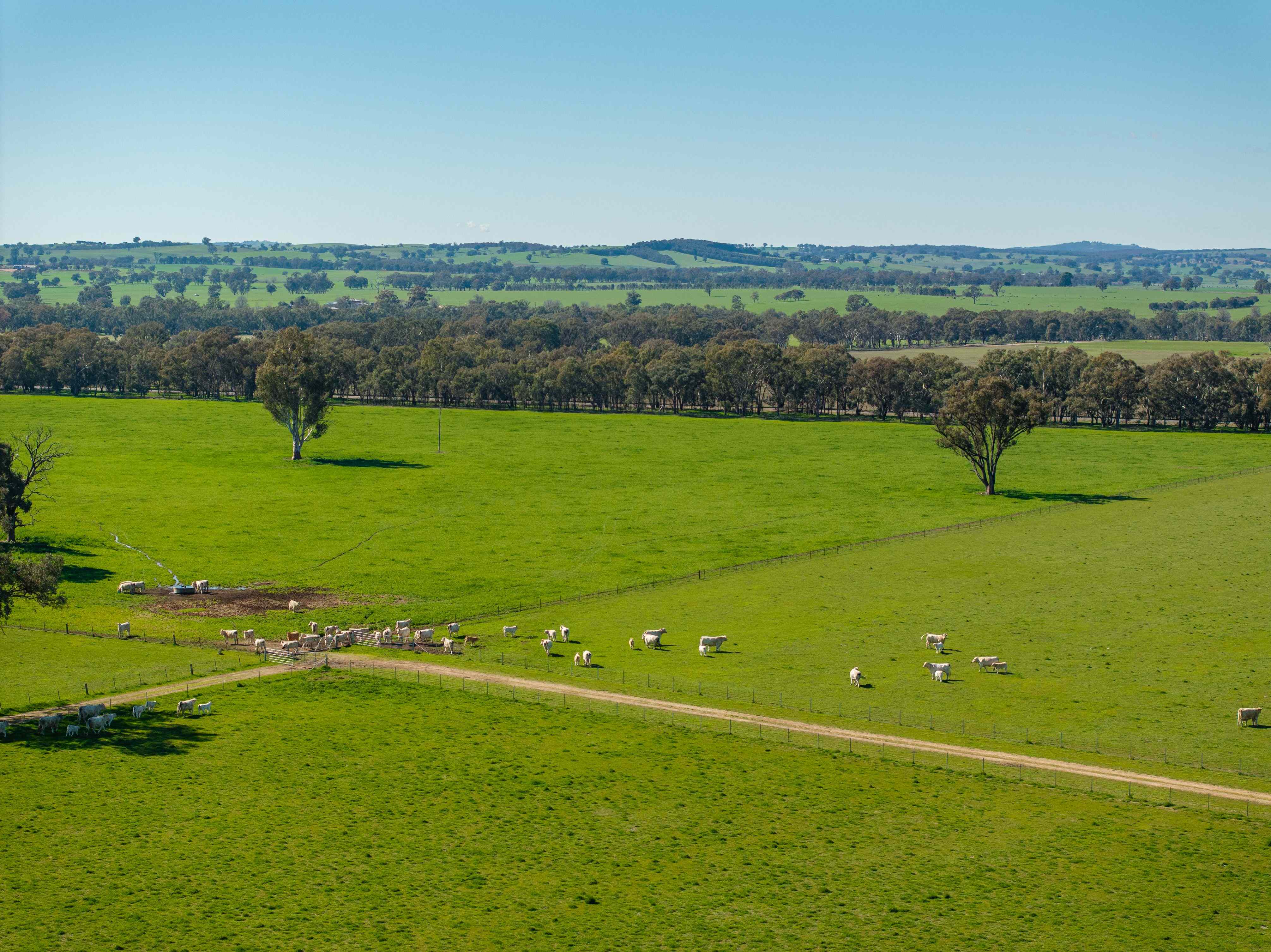 Prop-GPT: Mixed Farming: NSW Cookardinia, NSW 2650 