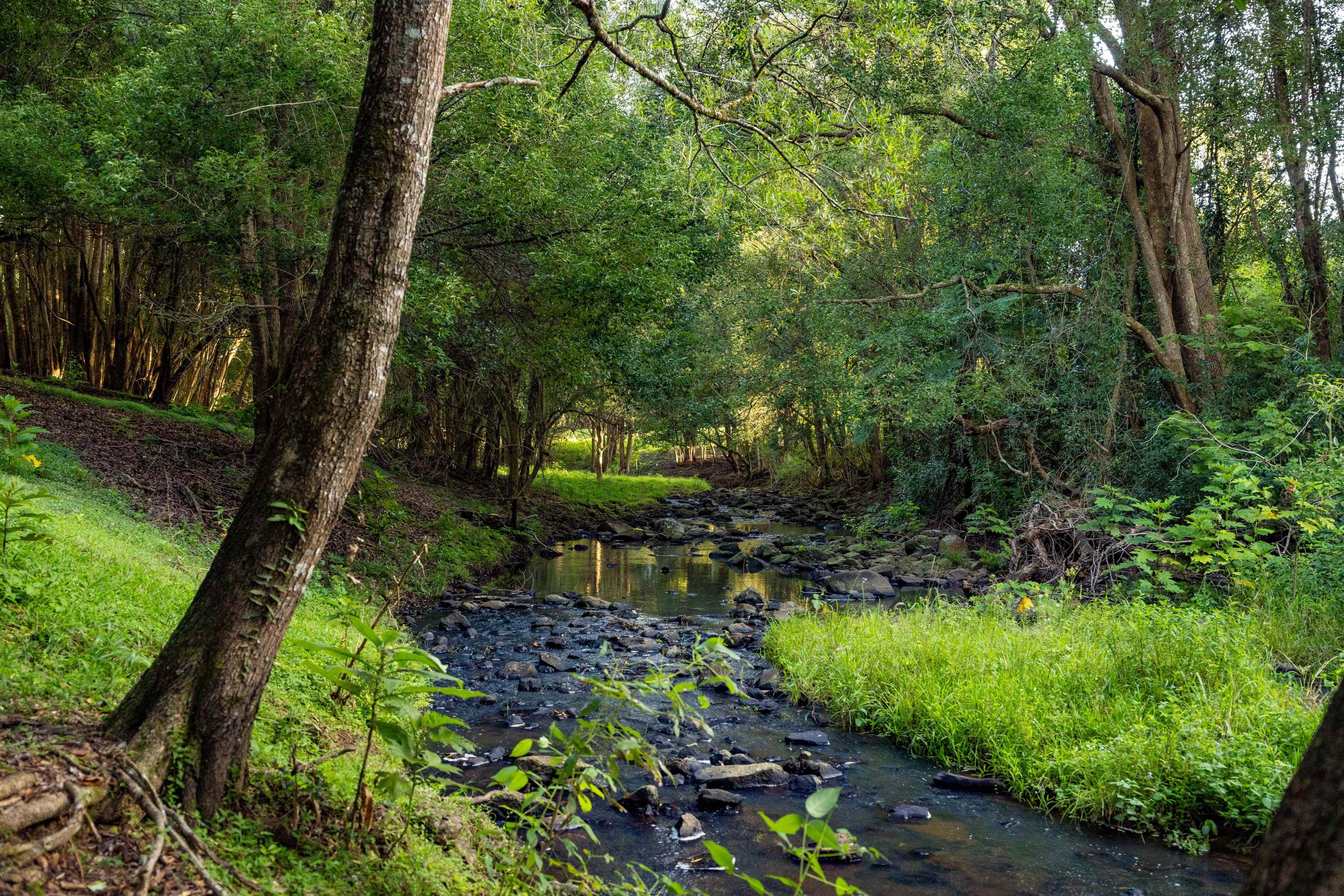 Glendale Homestead, A Once in a Lifetime 146 Acre Legacy Property in the Heart of Witta: QLD Witta, QLD 4552 House | Prop-GPT the AI-Powered Property Portal