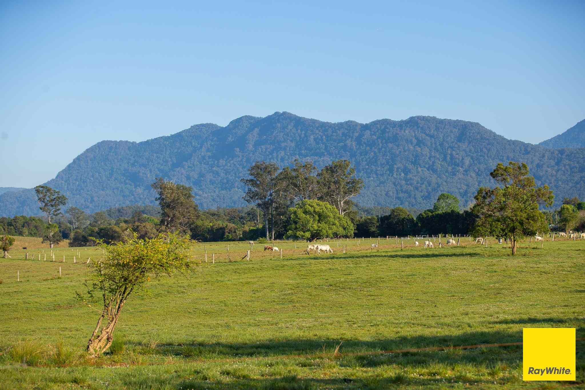 Plant your roots at 'Greenhills': NSW Bellingen, NSW 2454 Mixed Farming | Prop-GPT the AI-Powered Property Portal