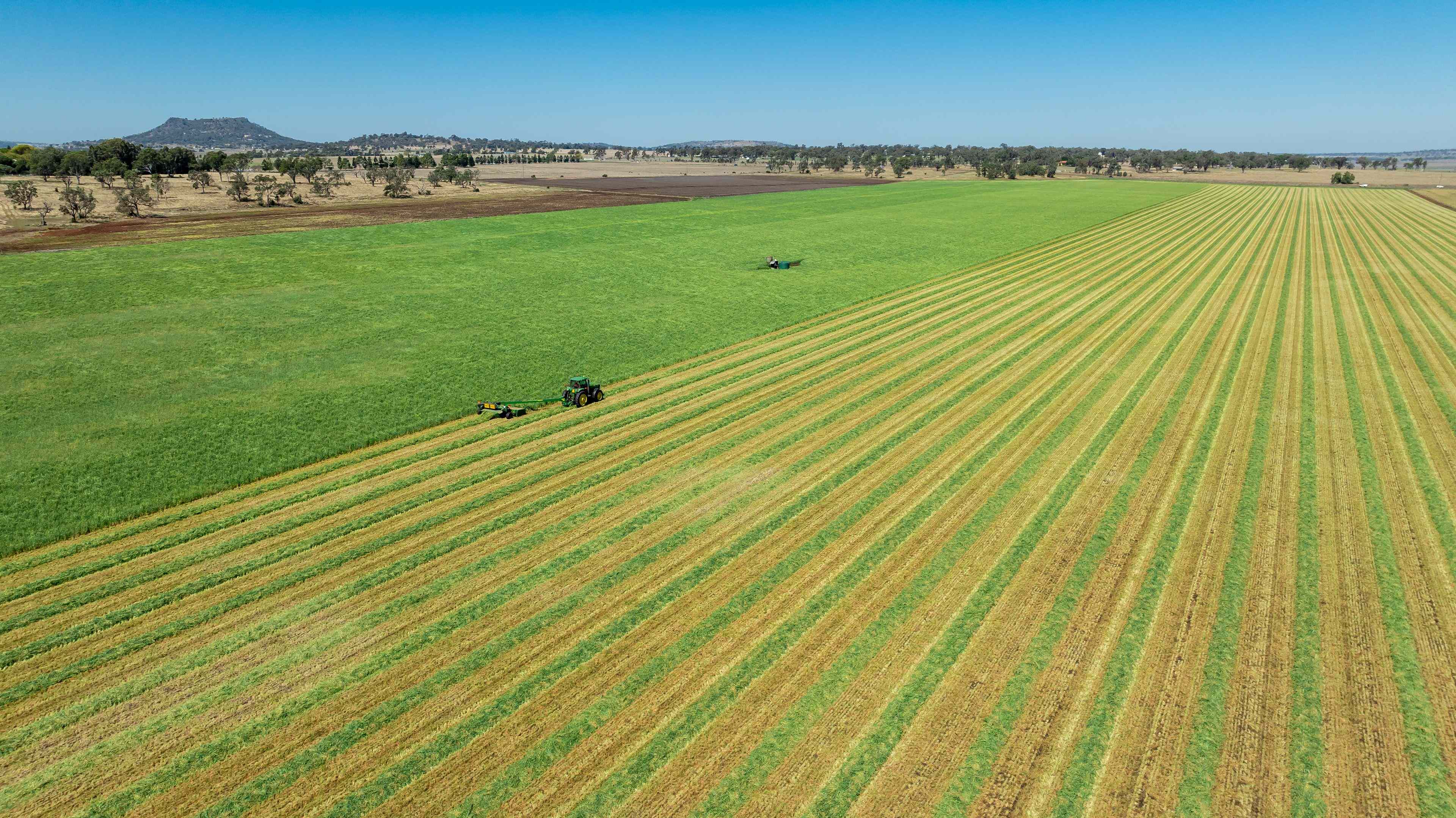 172 Acres - Premium Location on Toowoomba's Doorstep*: QLD Kingsthorpe, QLD 4400 Cropping | Prop-GPT the AI-Powered Property Portal