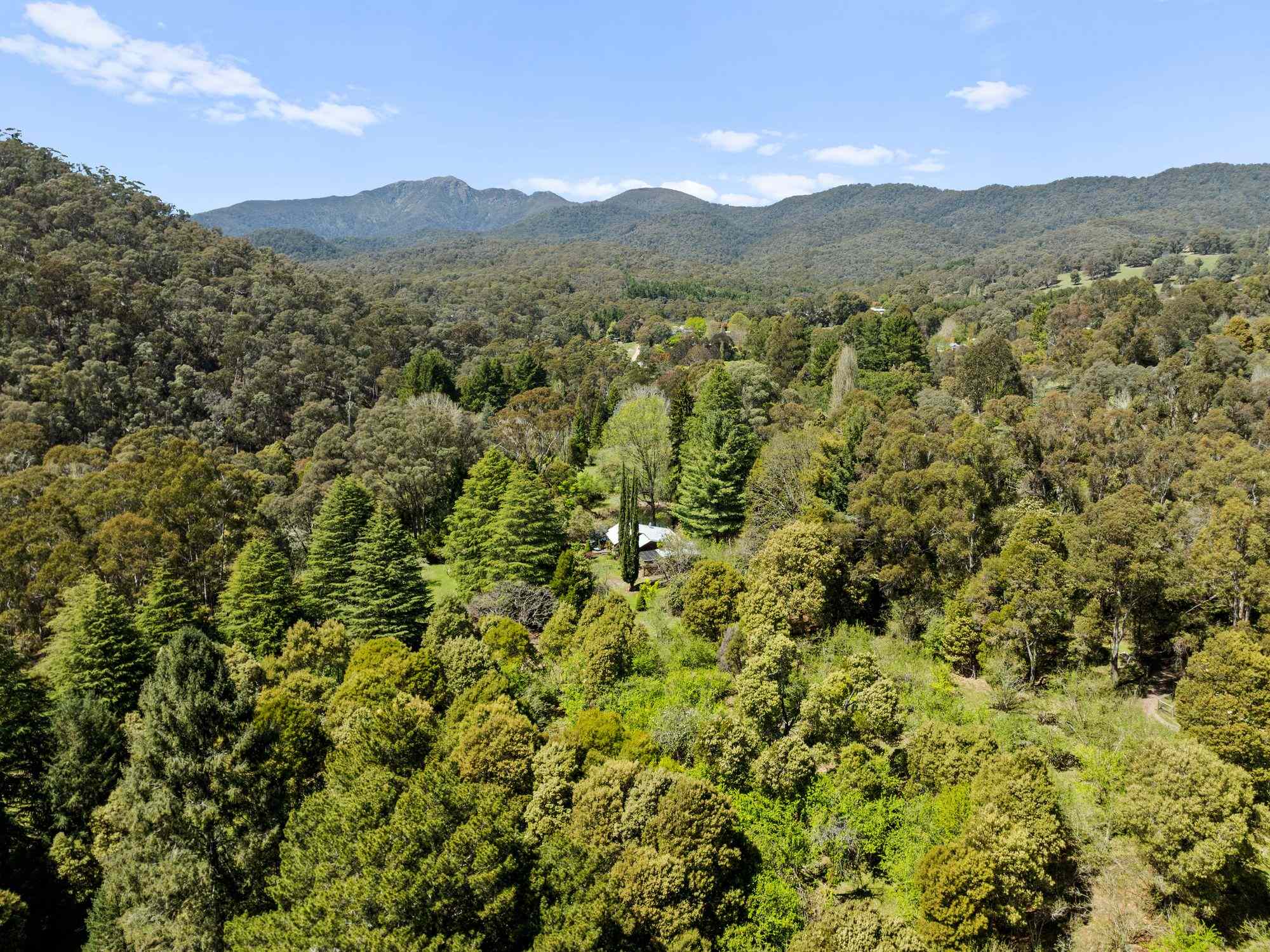 Prop-GPT: House: VIC Merrijig, VIC 3723 Murren Homestead - A Legacy of Beauty at the Gateway to Mt Buller