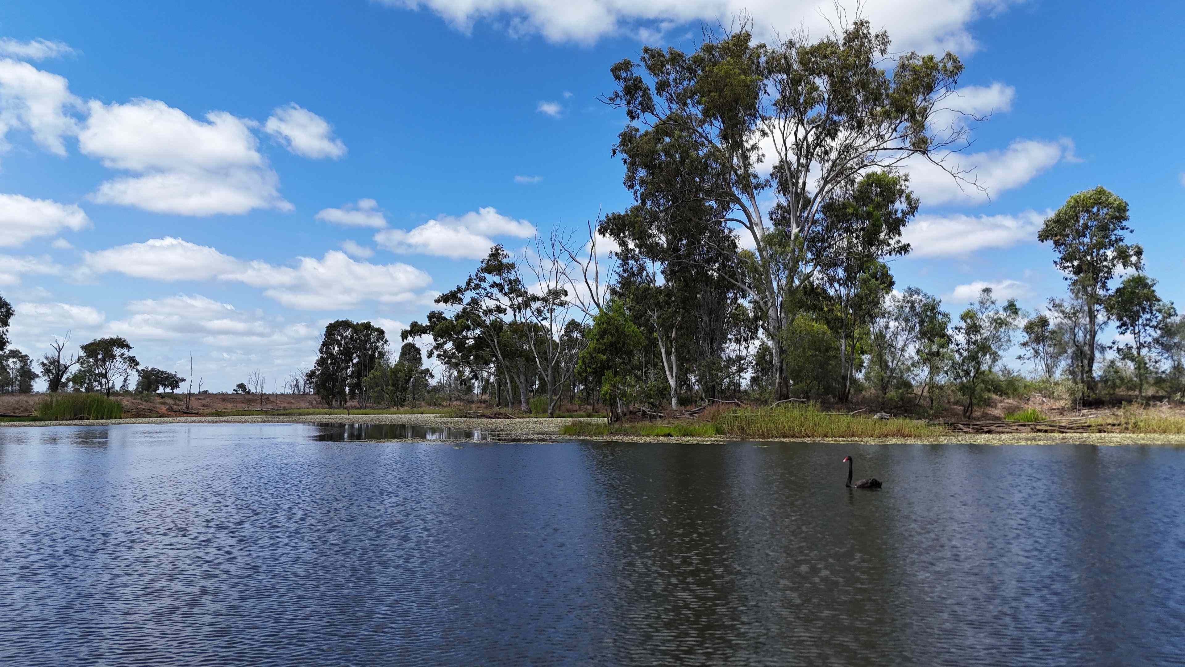 Prop-GPT: Other: QLD Coppabella, QLD 4741 