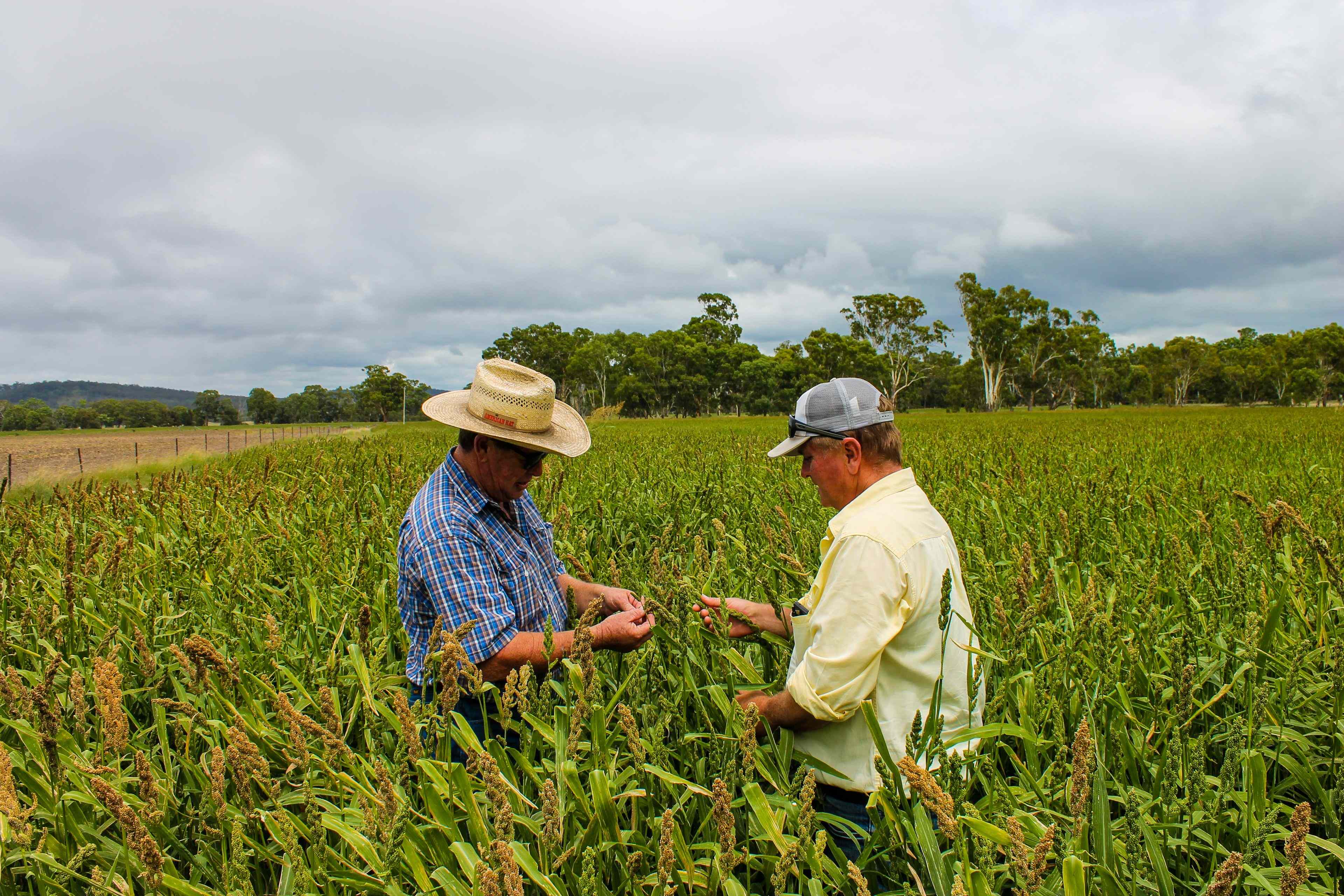 Prop-GPT: Lifestyle: QLD Clifton, QLD 4361 